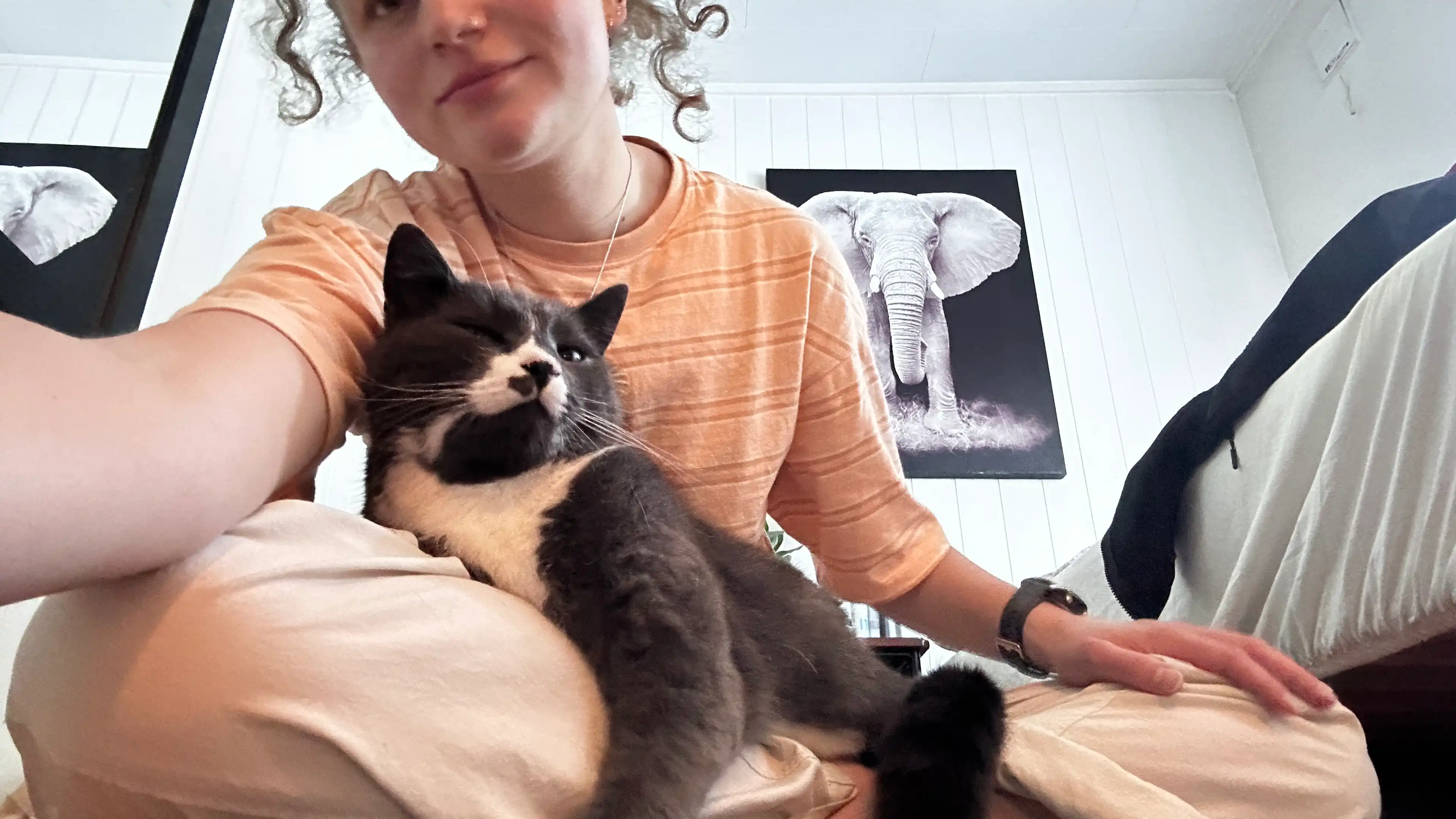 image-9