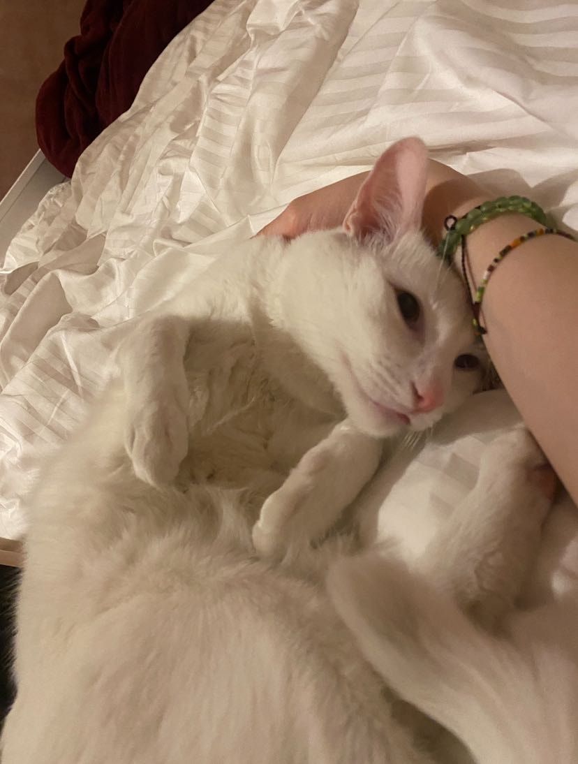 image-8