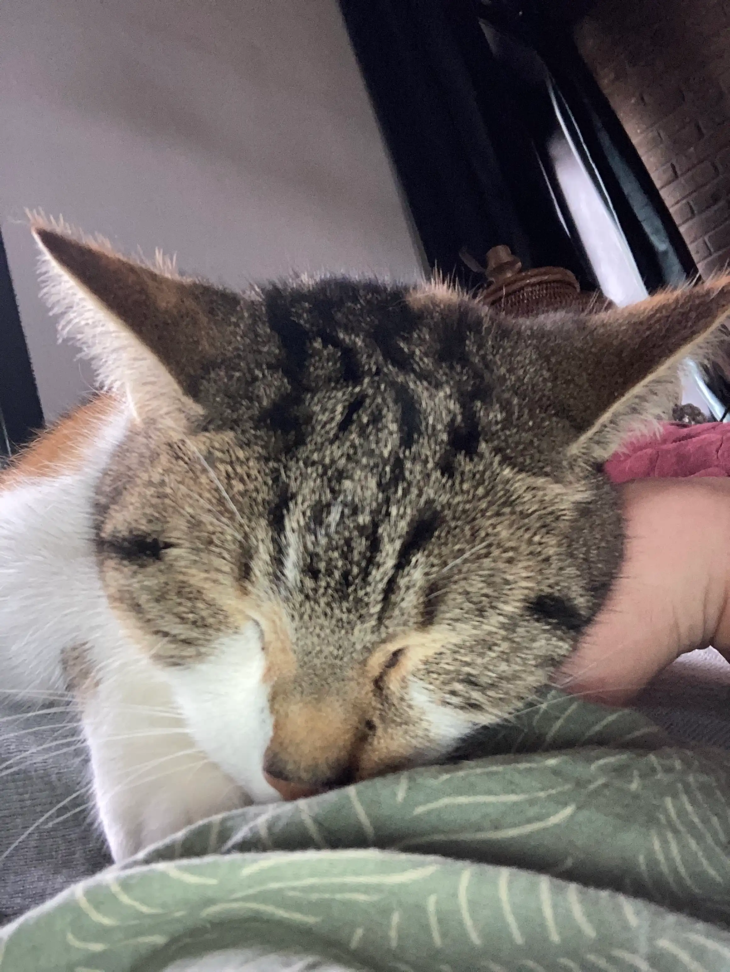 image-18