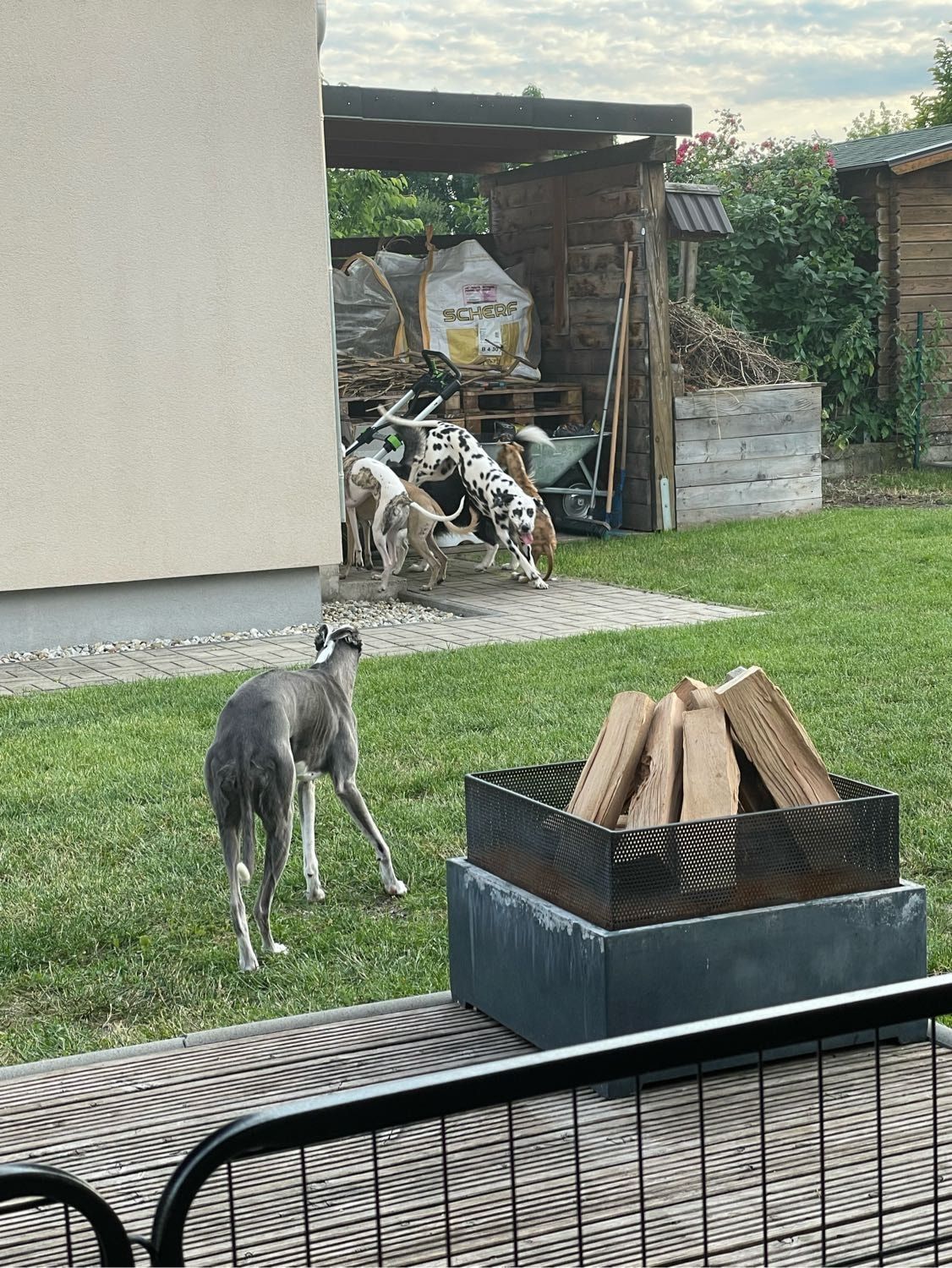 image-3