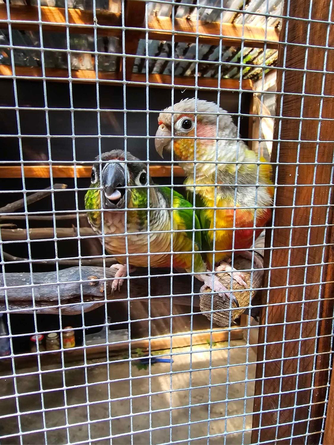 image-3