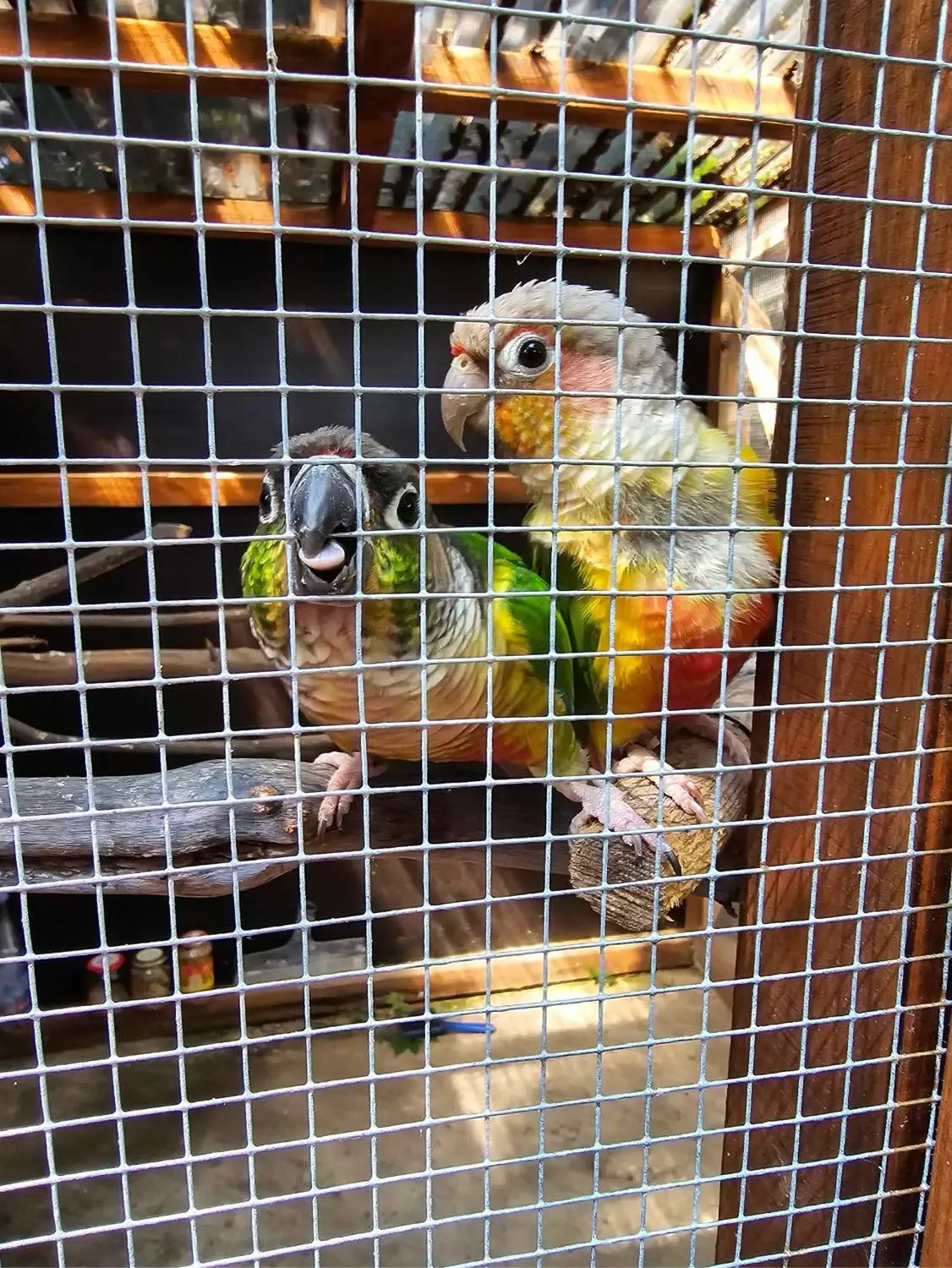 image-3