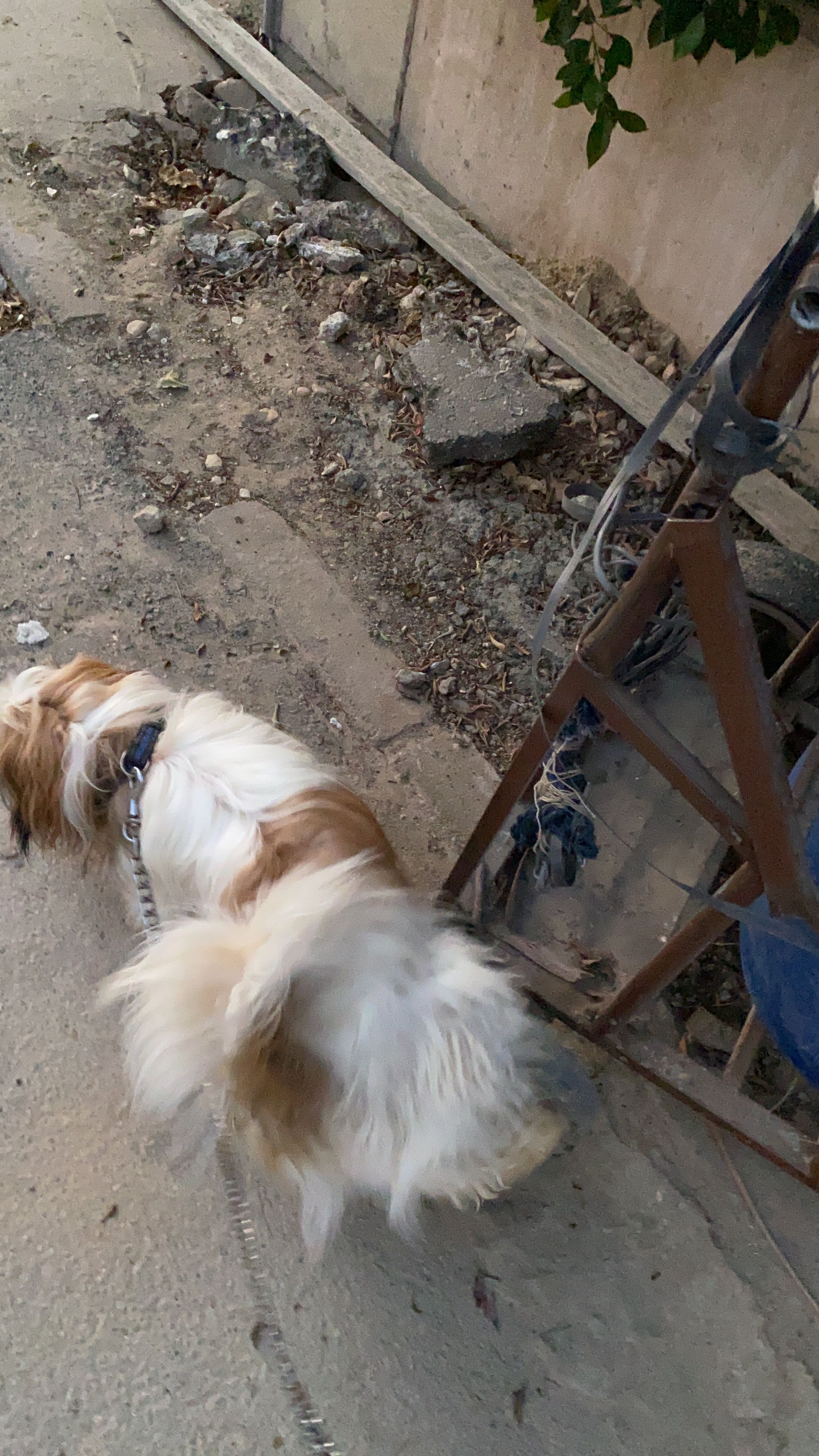 image-9