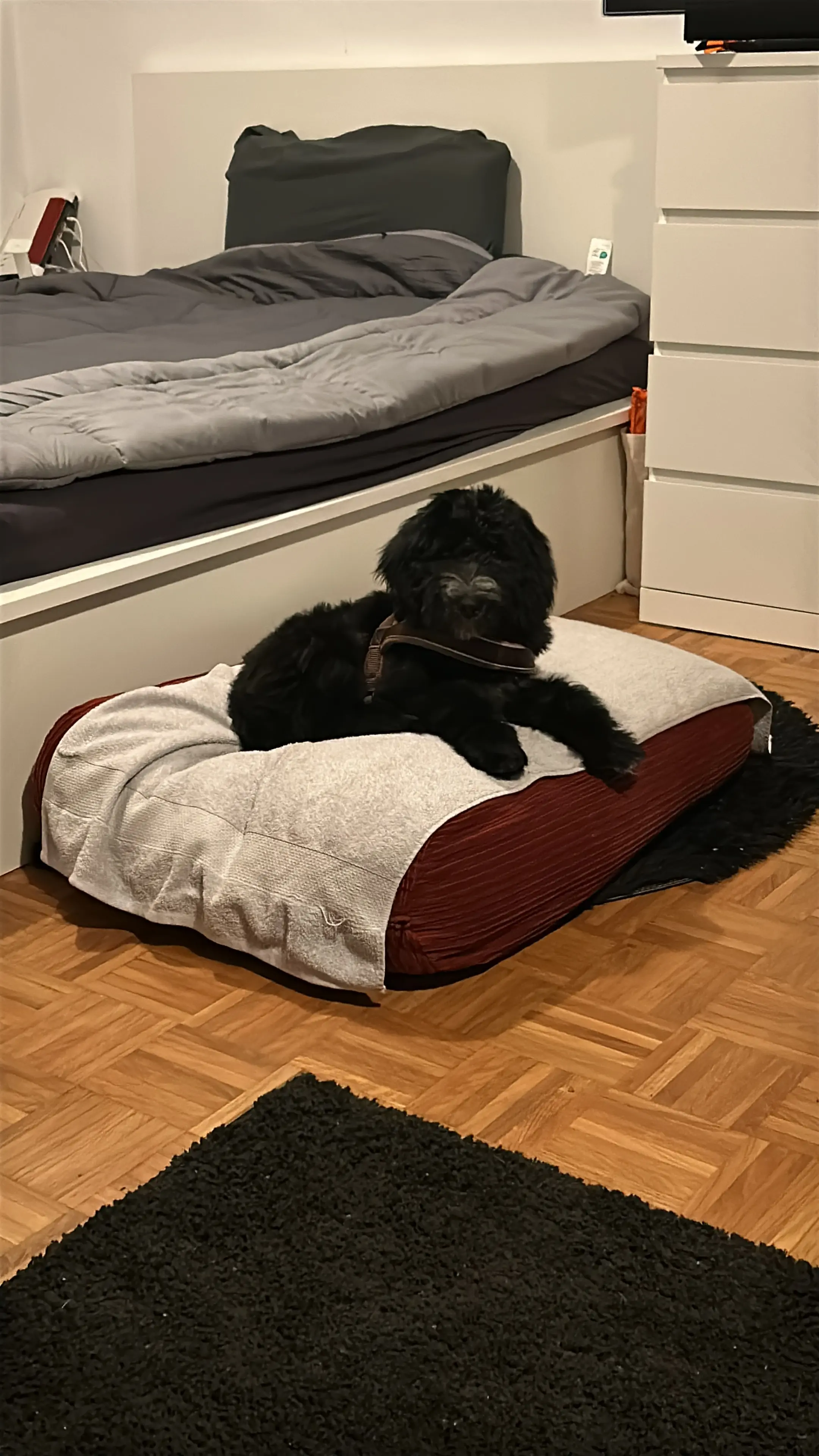 image-3