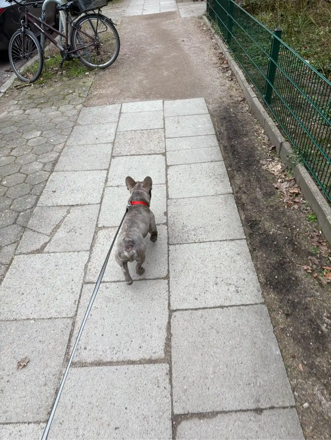 image-5