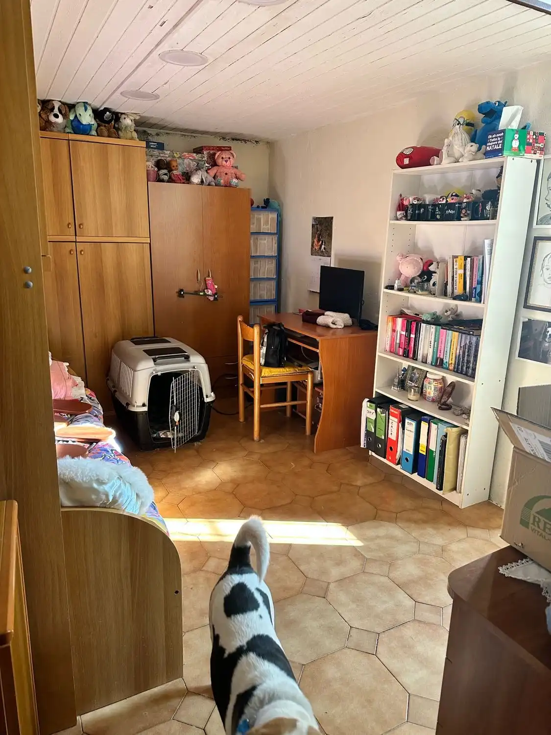 image-16