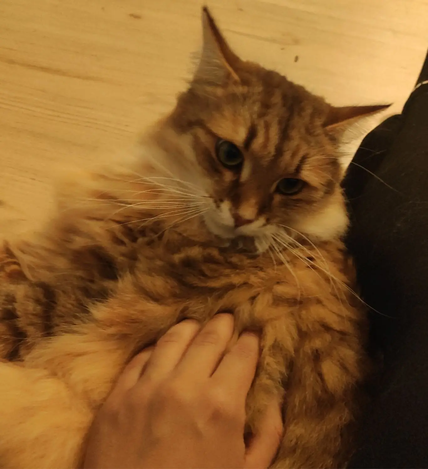 image-4