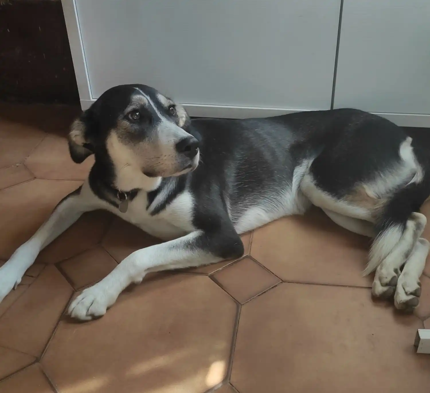 image-7