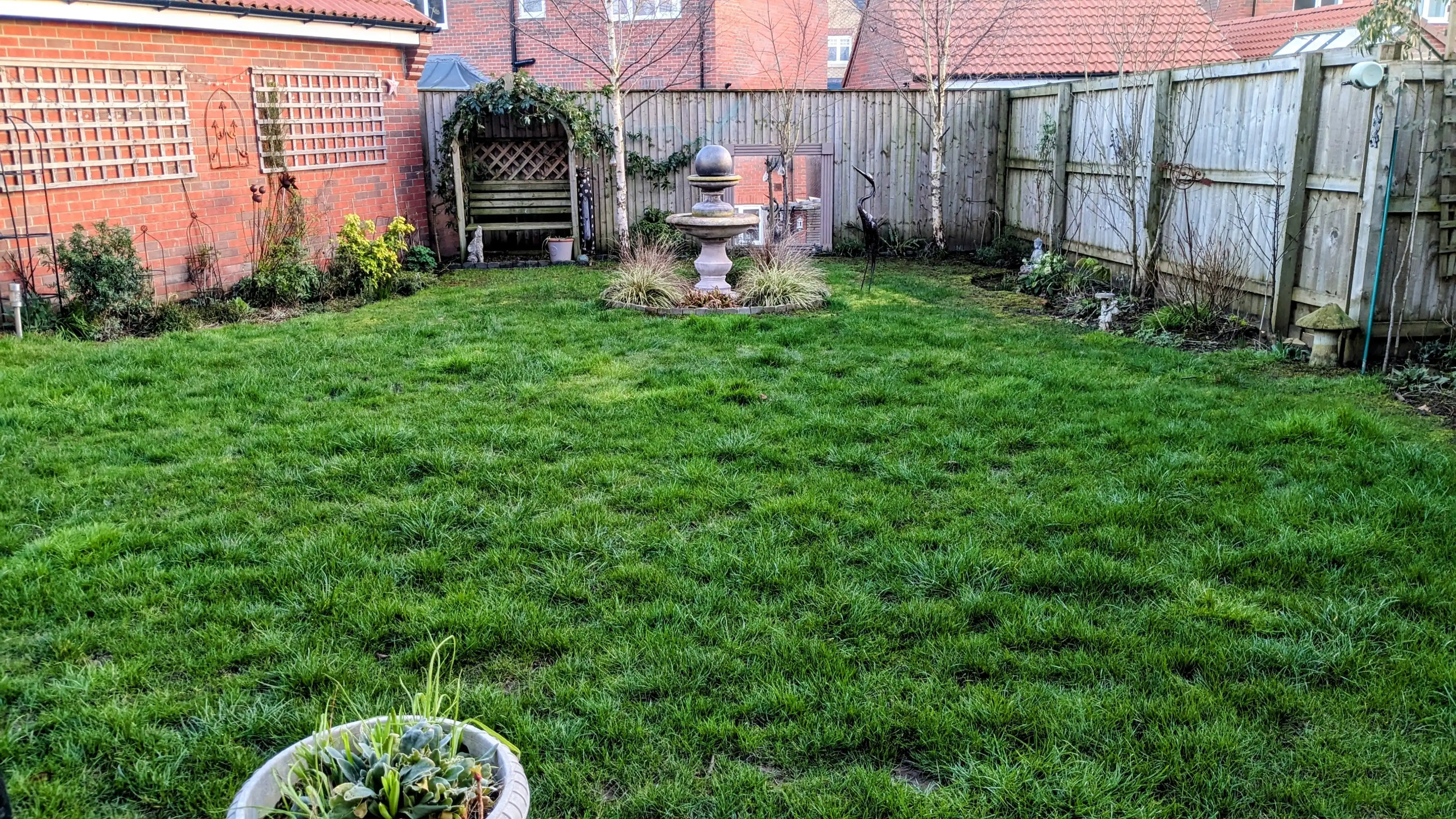 image-8