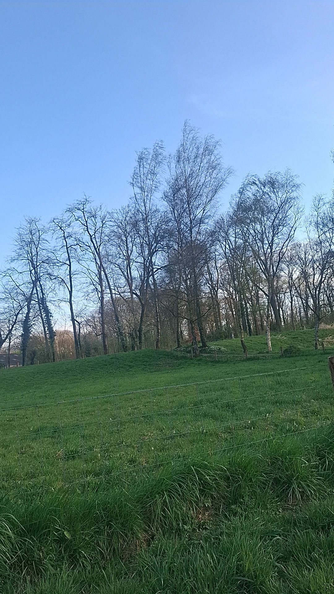 image-19