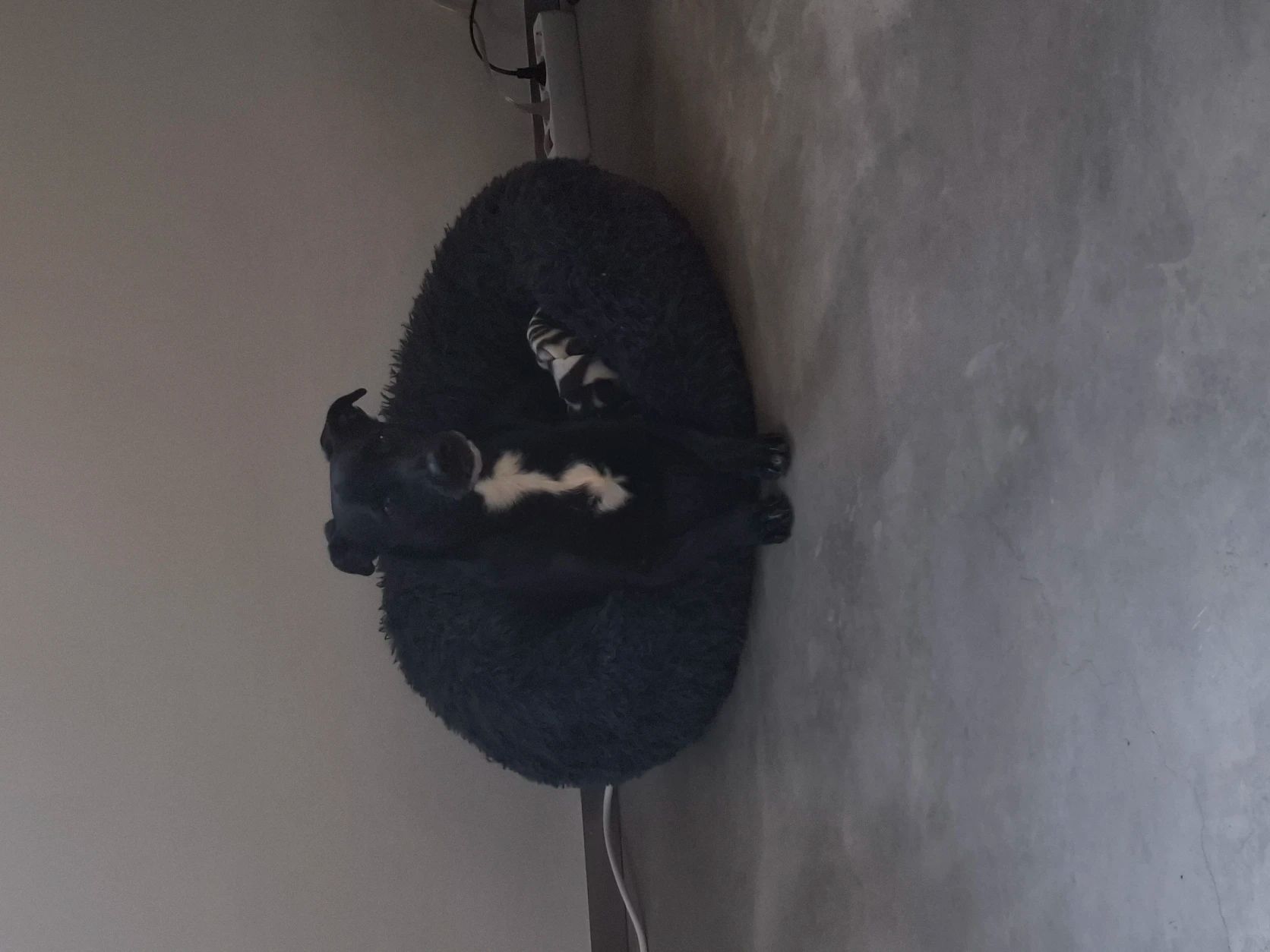 image-17