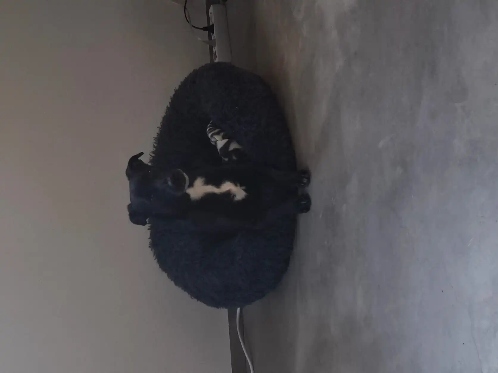 image-17