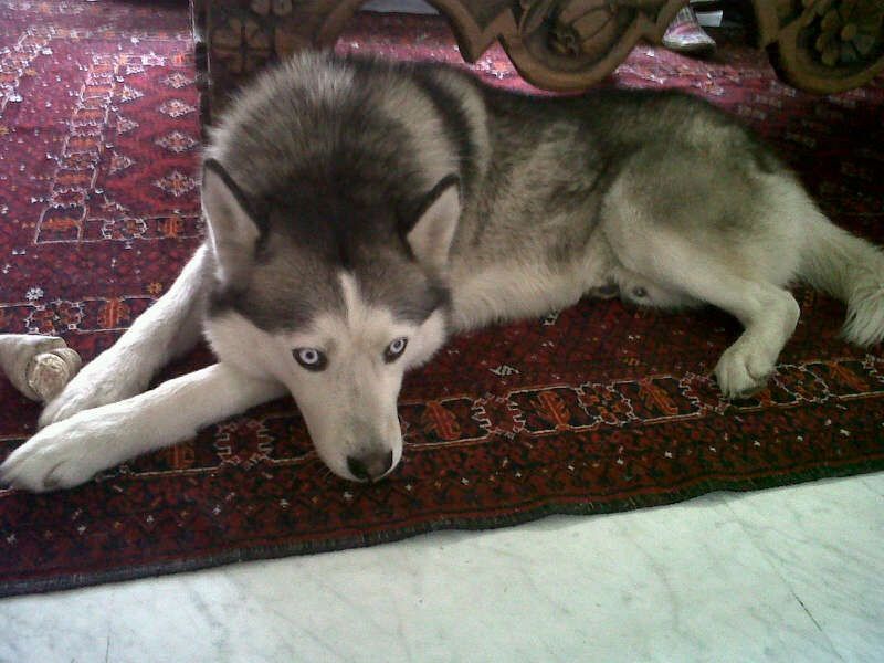 image-7