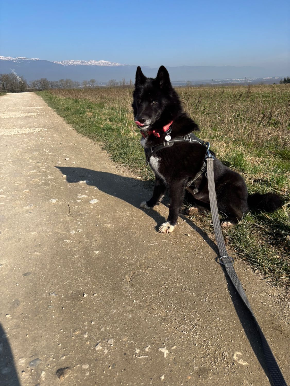 image-4