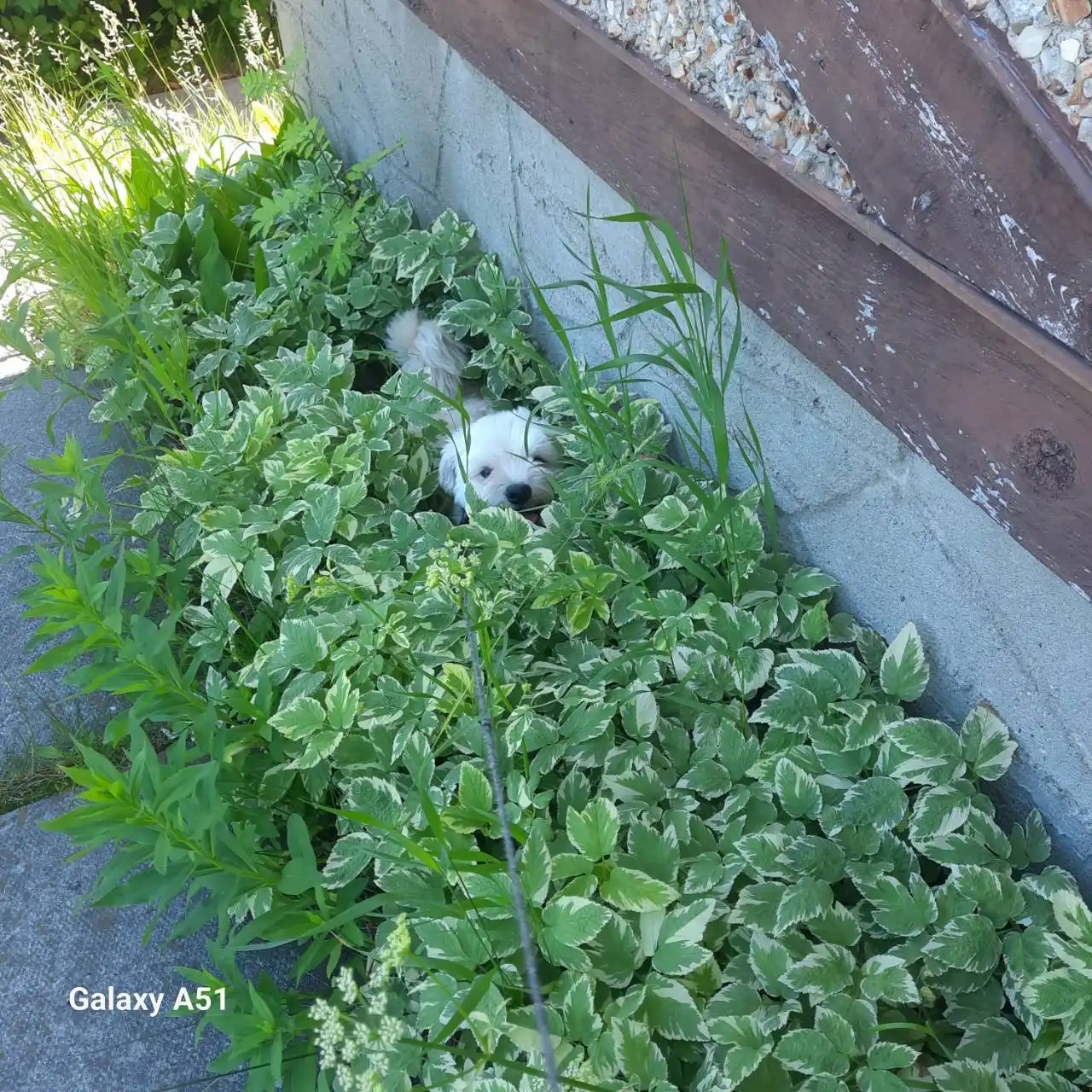 image-5