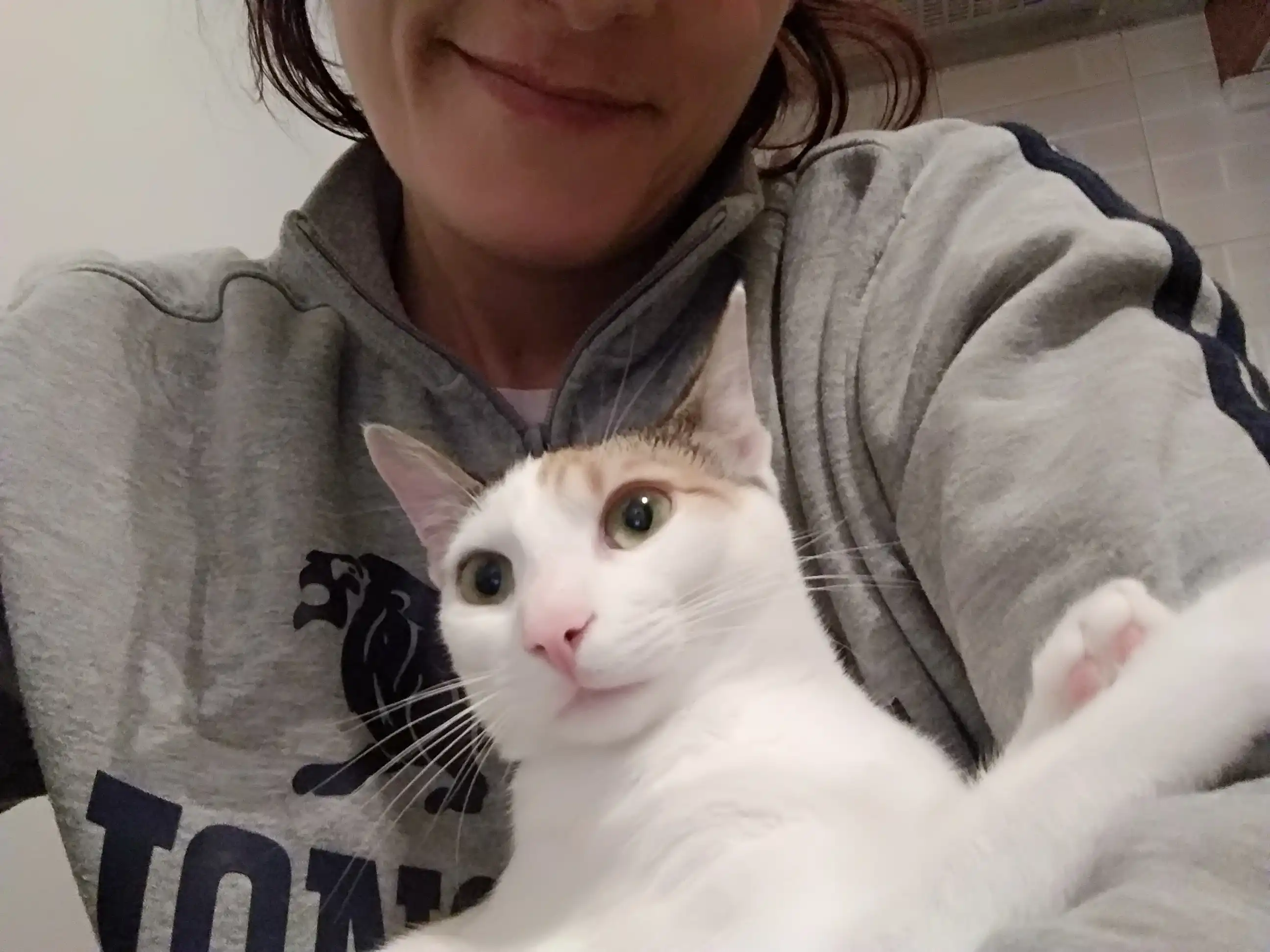 image-6
