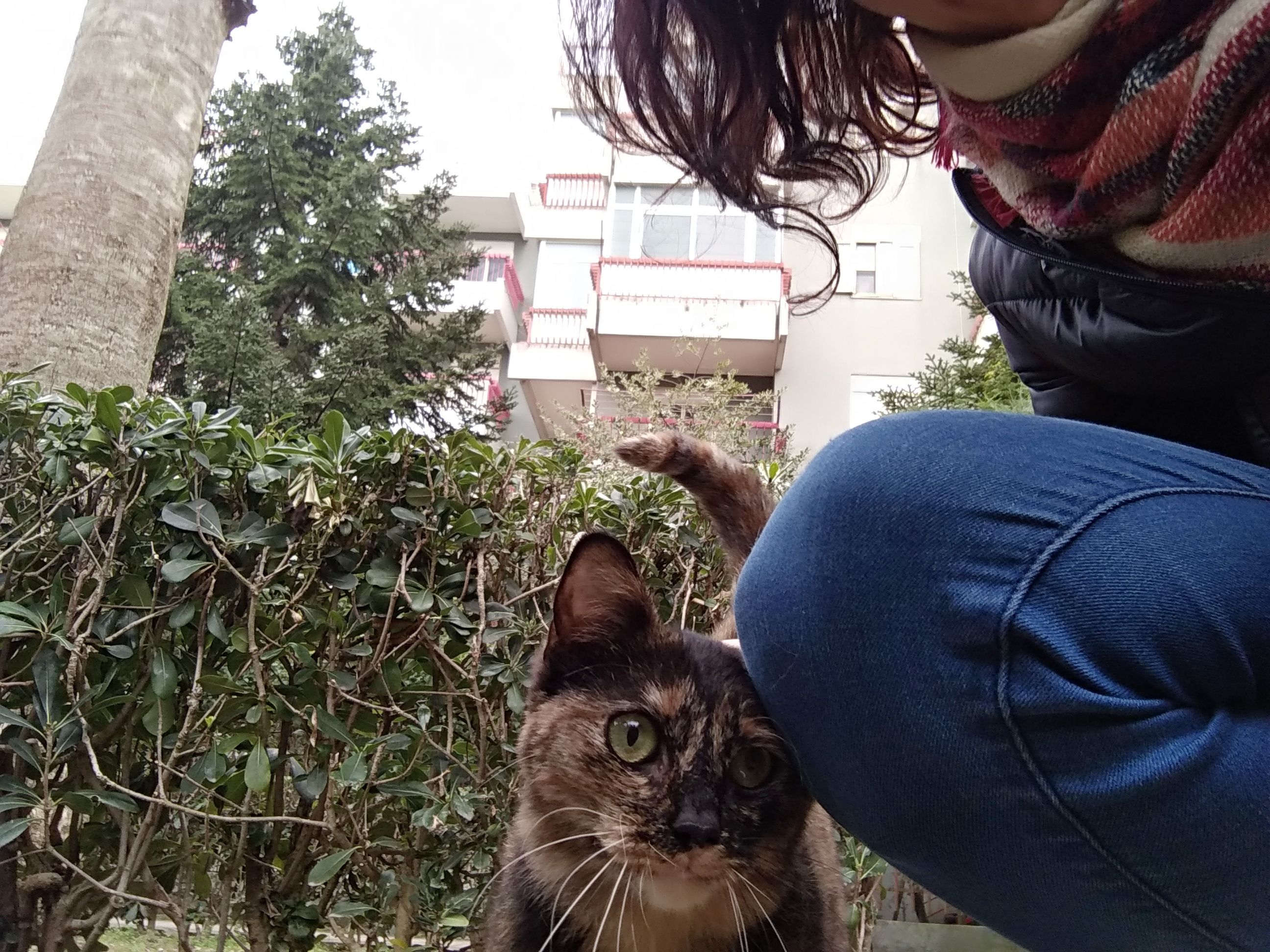 image-7