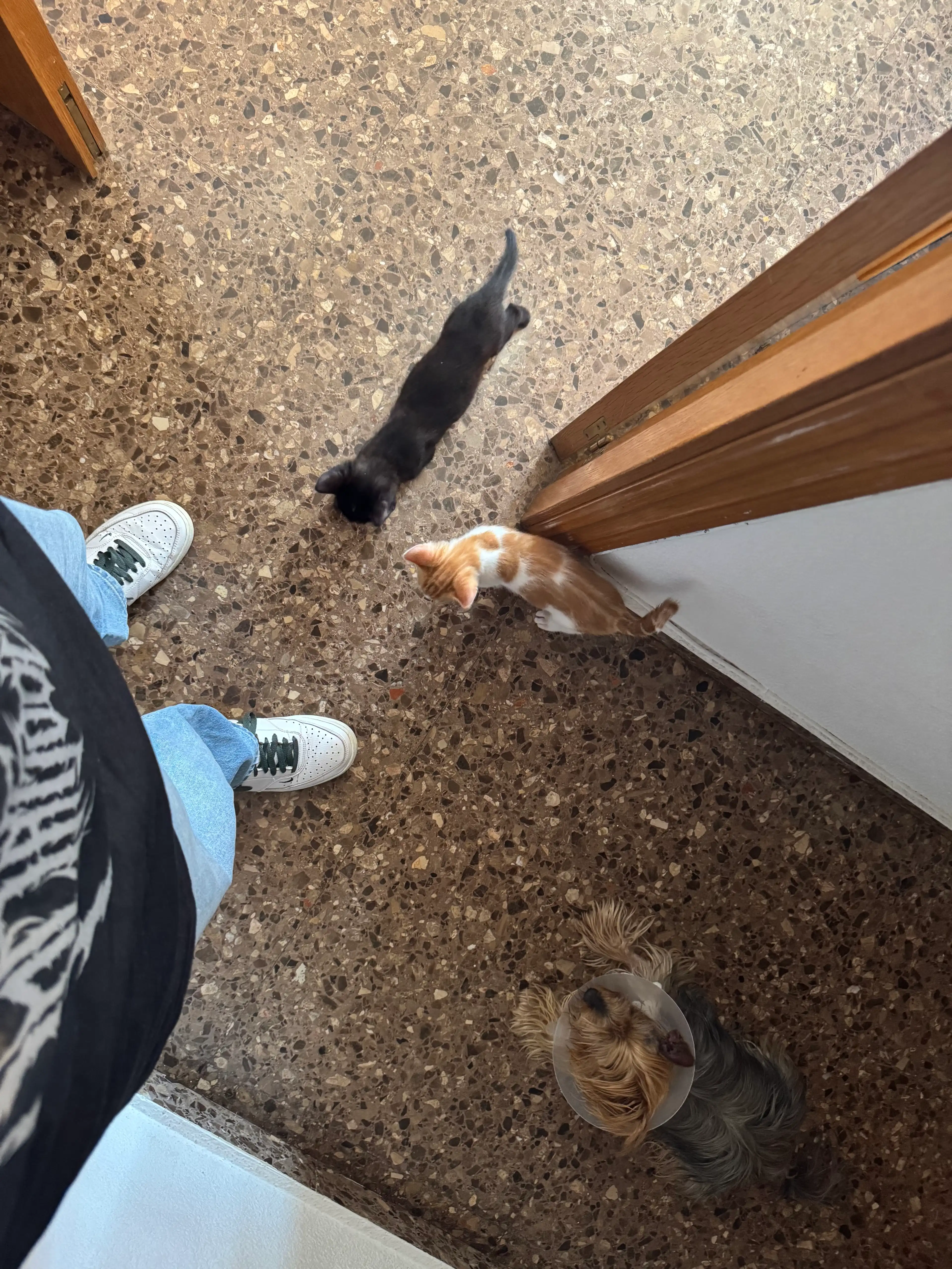 image-8