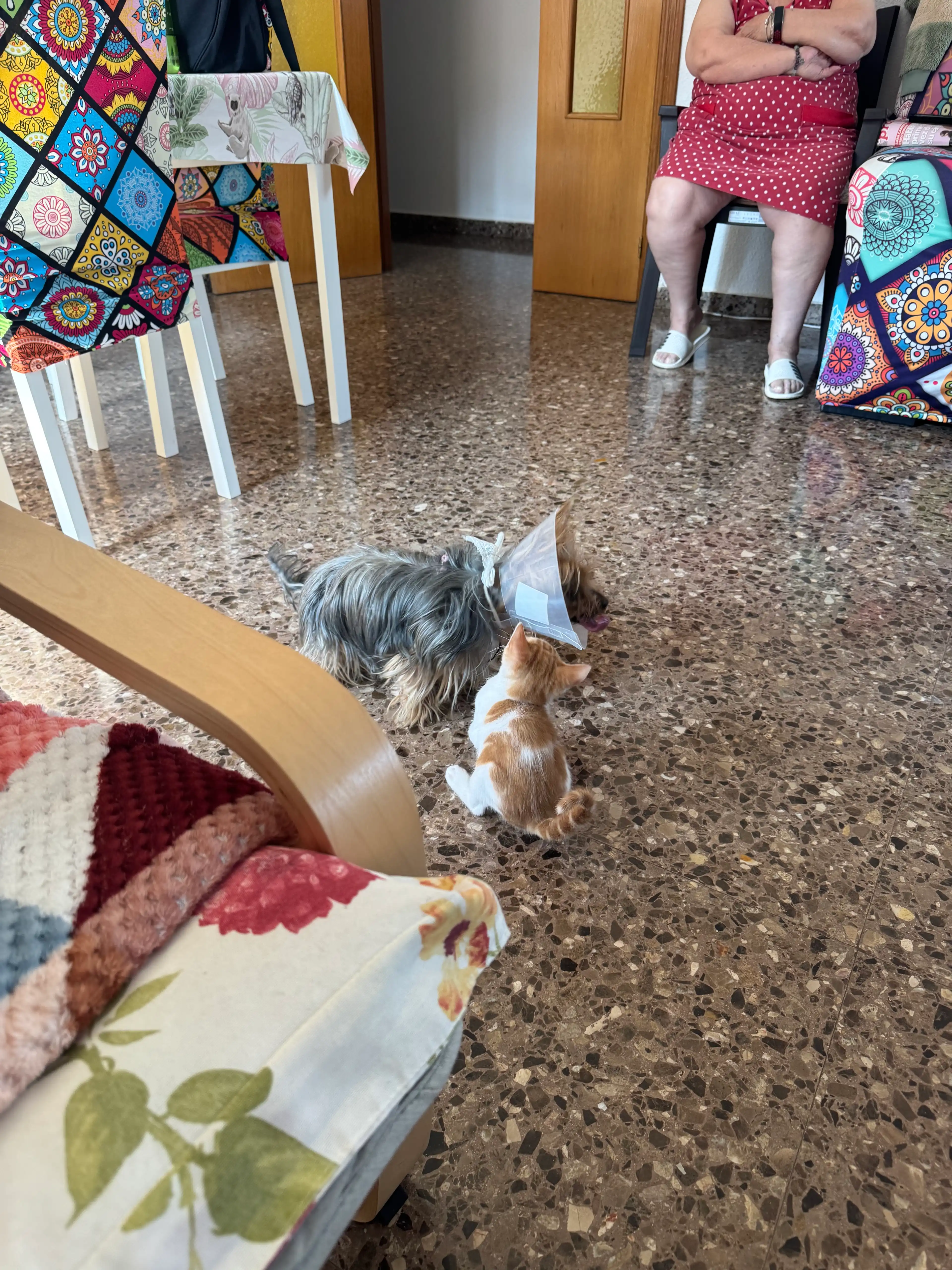 image-9