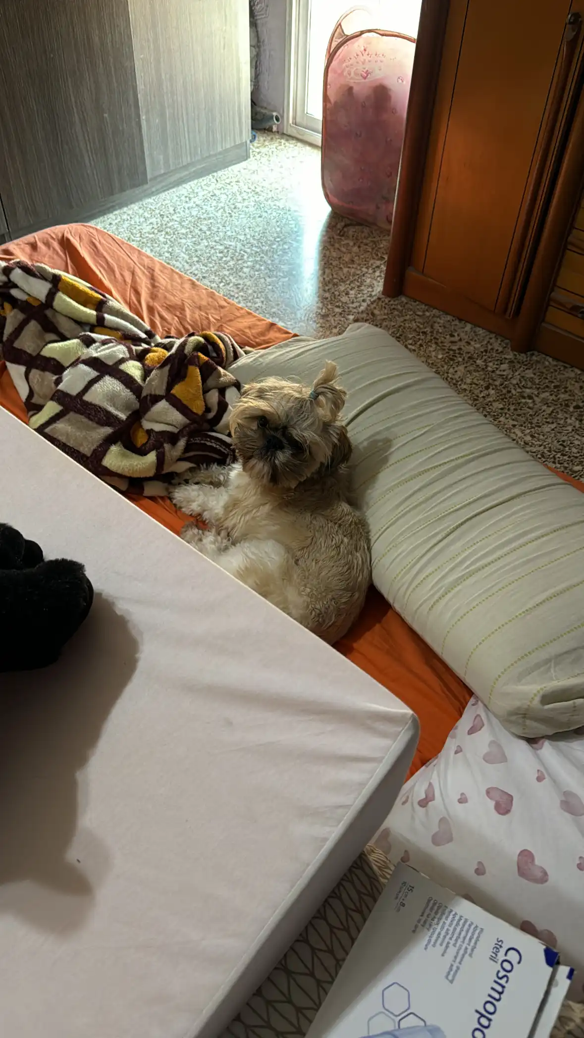 image-13