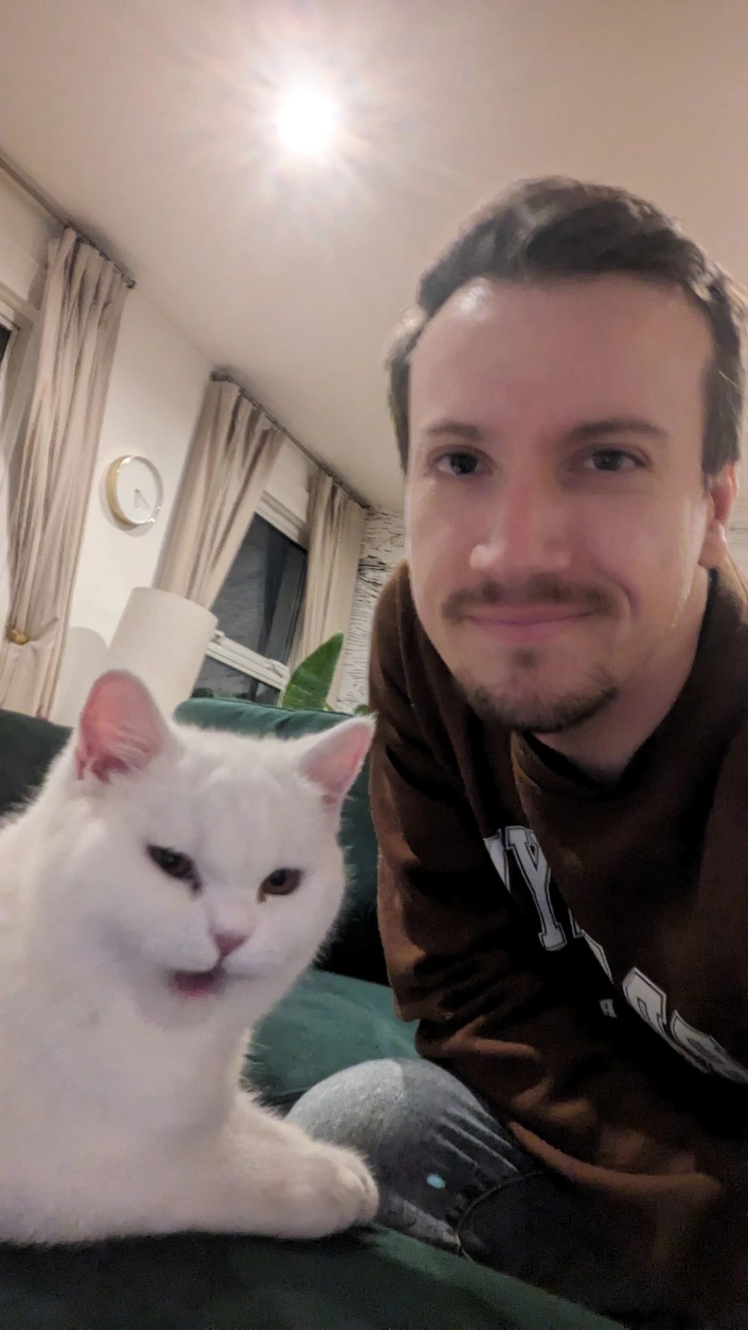 image-6