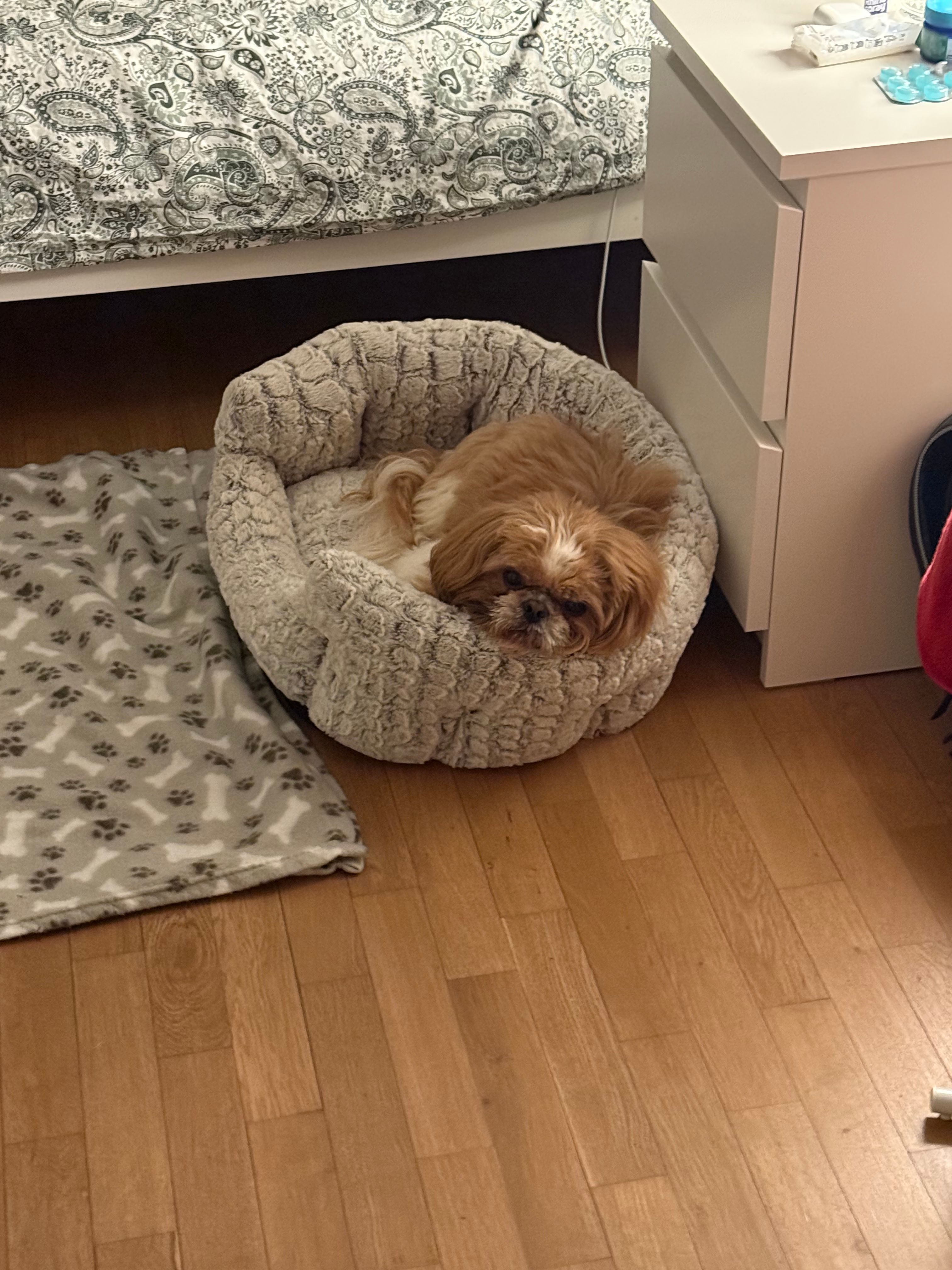 image-8