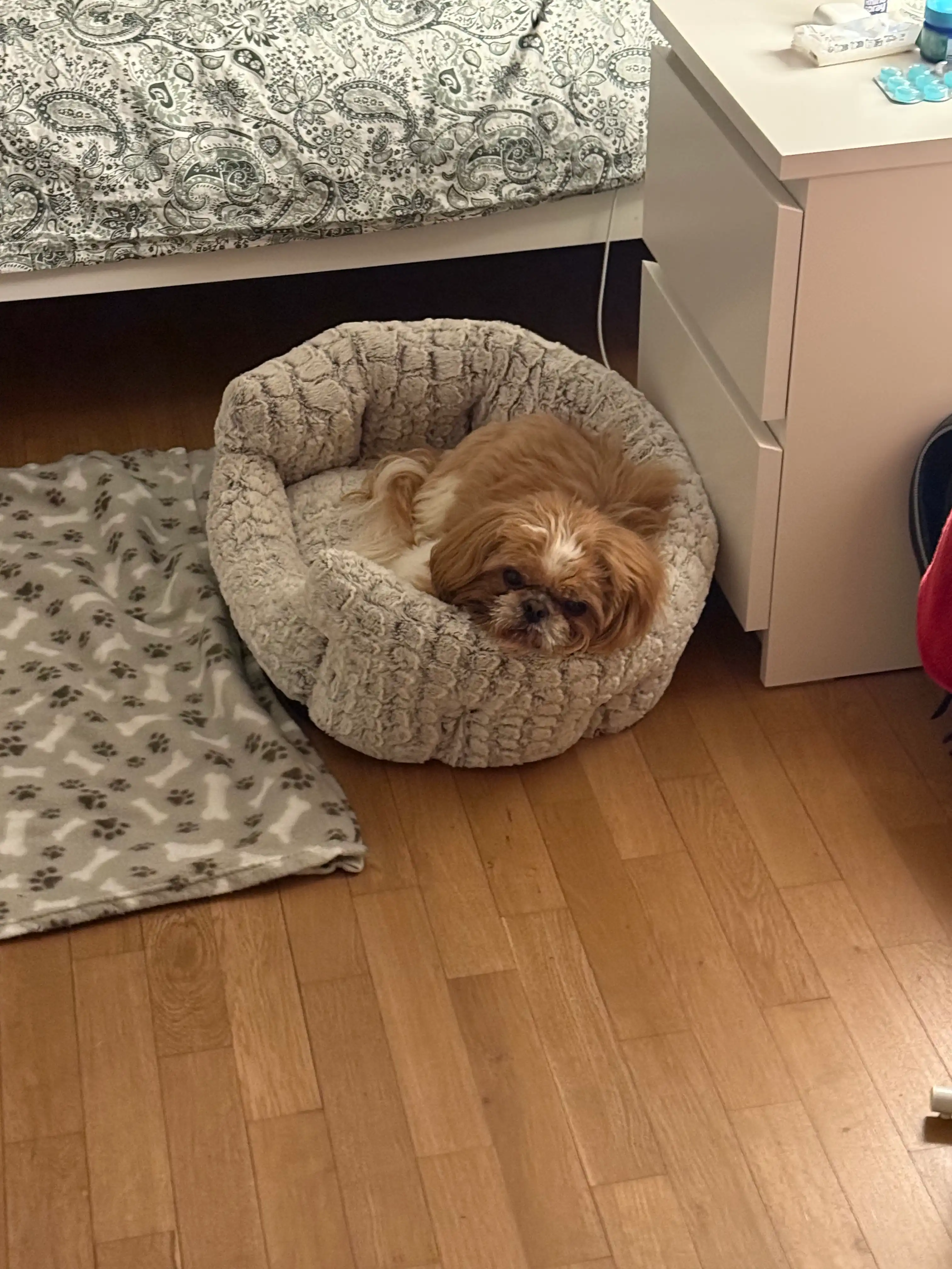 image-8