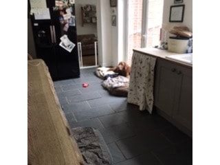 image-15
