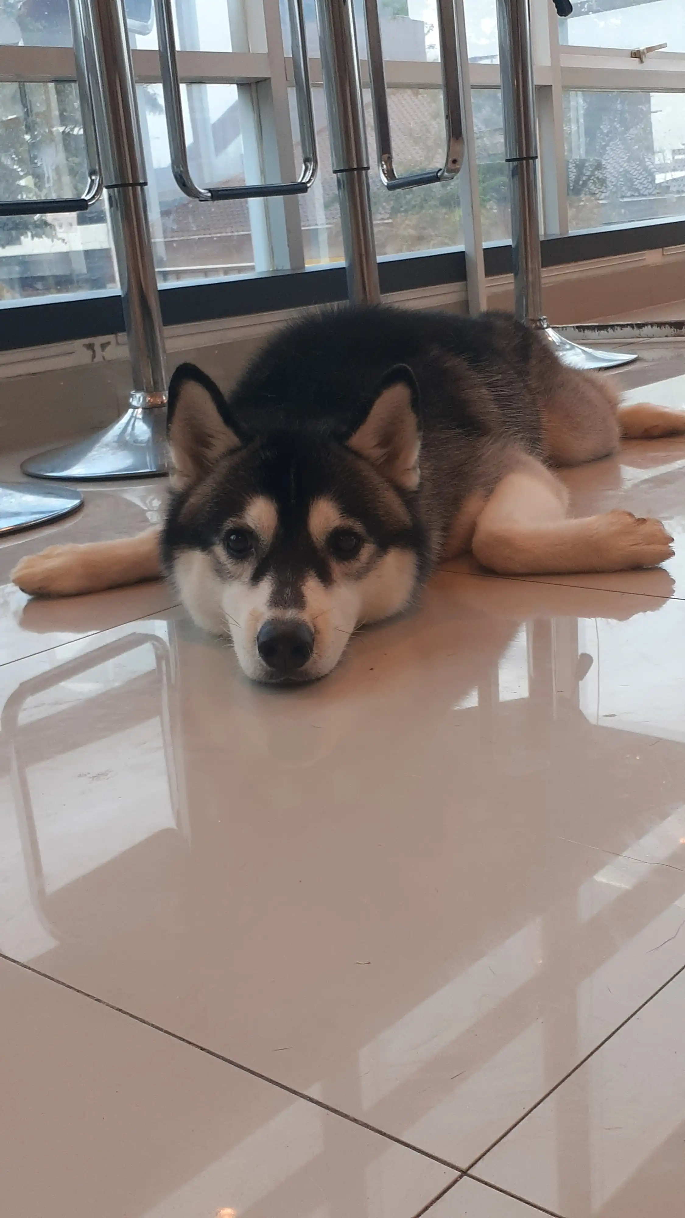 image-6