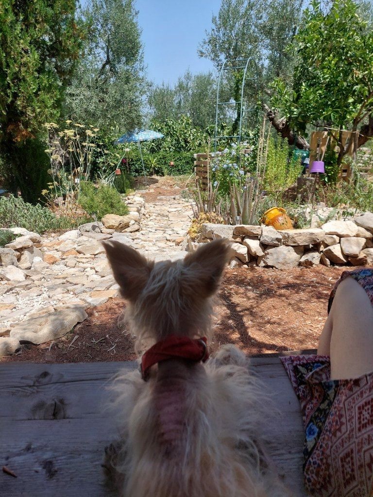 image-5