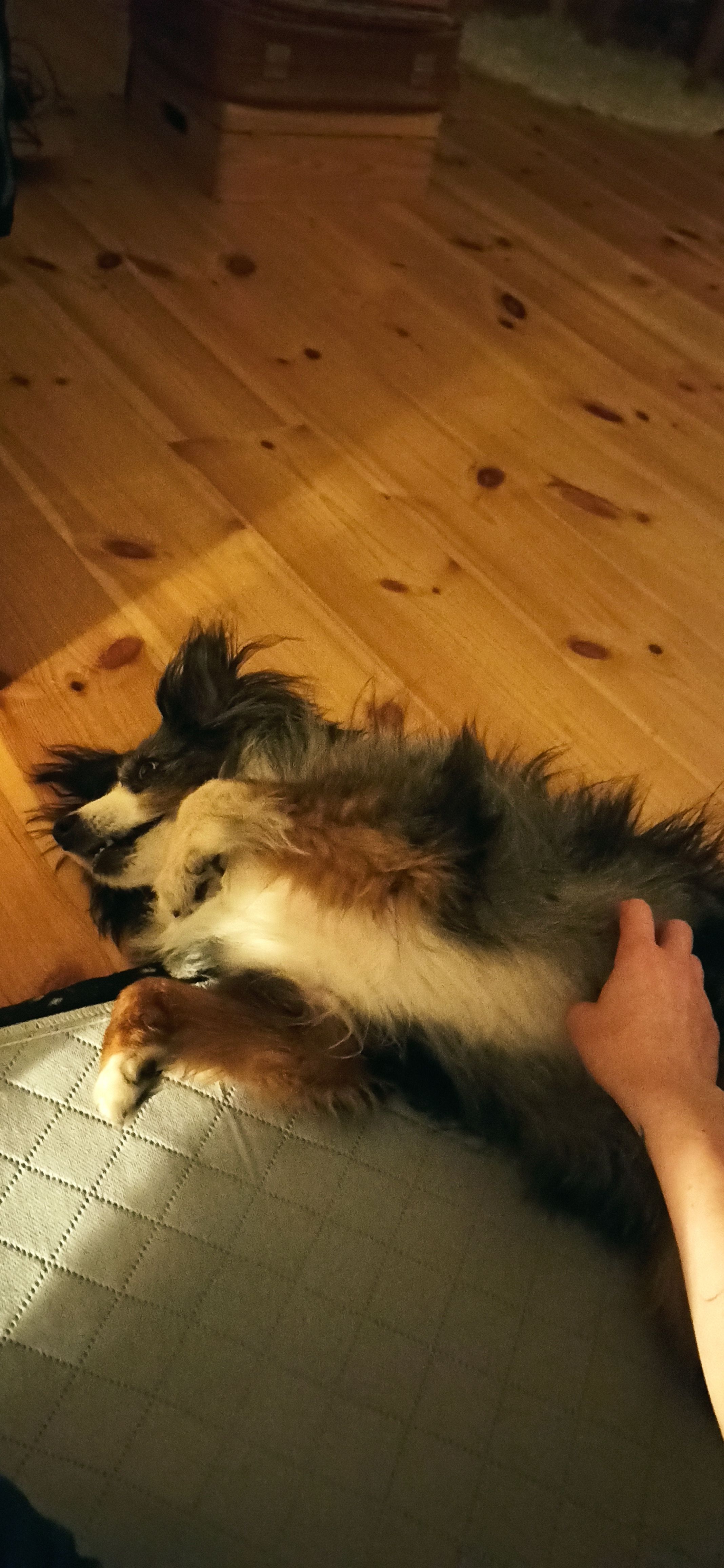 image-11