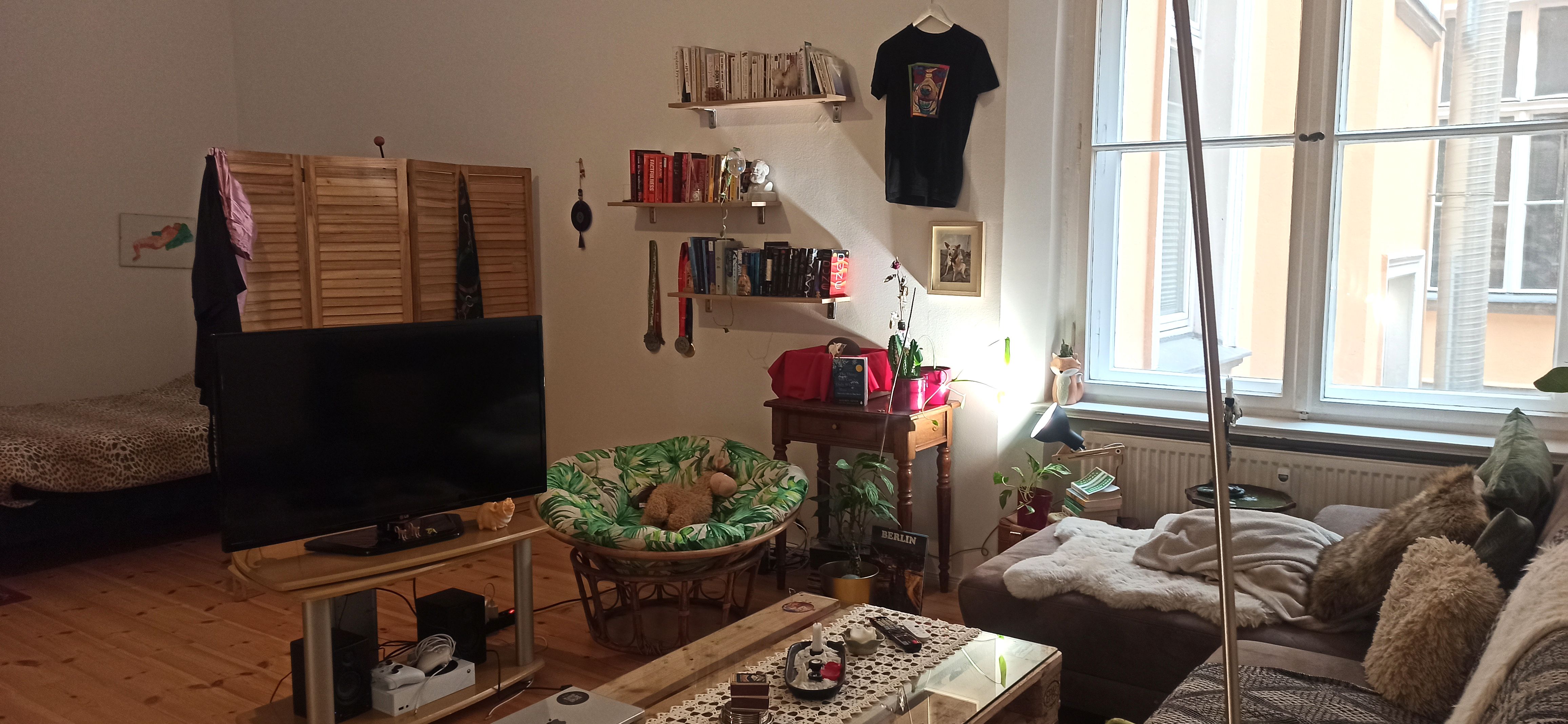 image-16