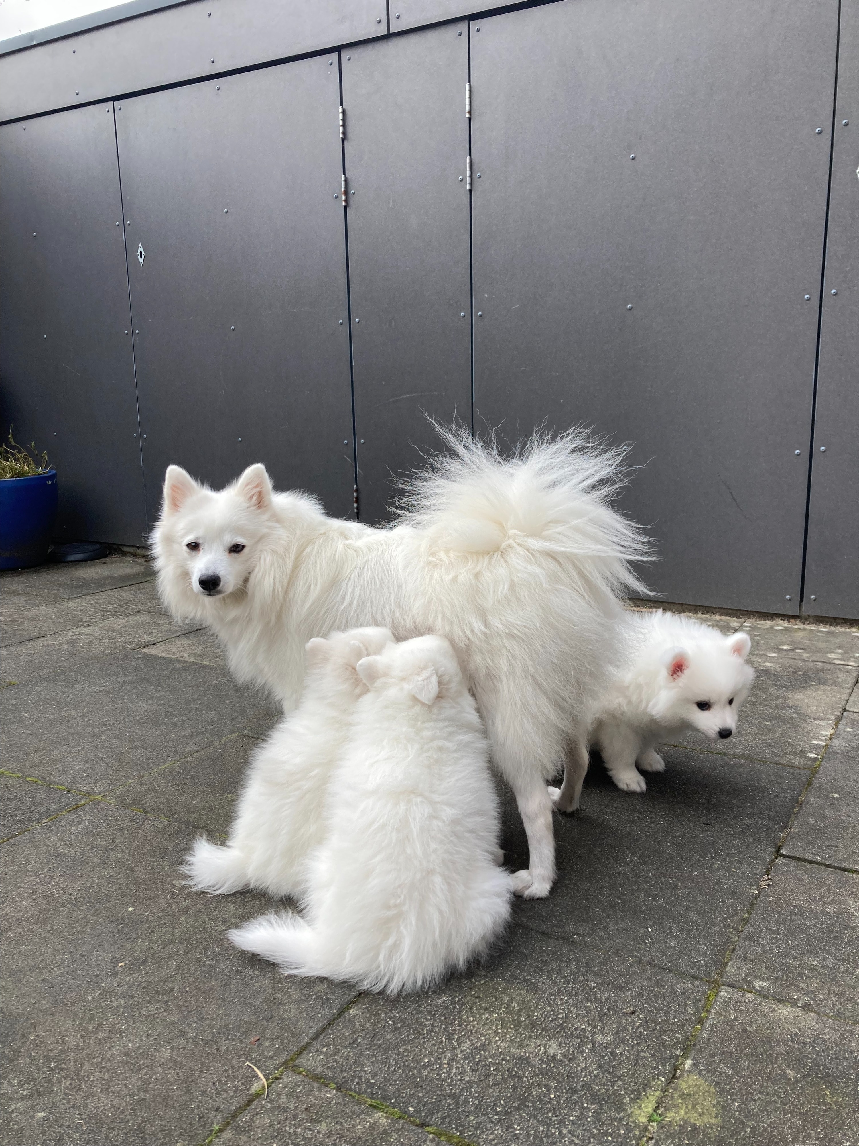image-35