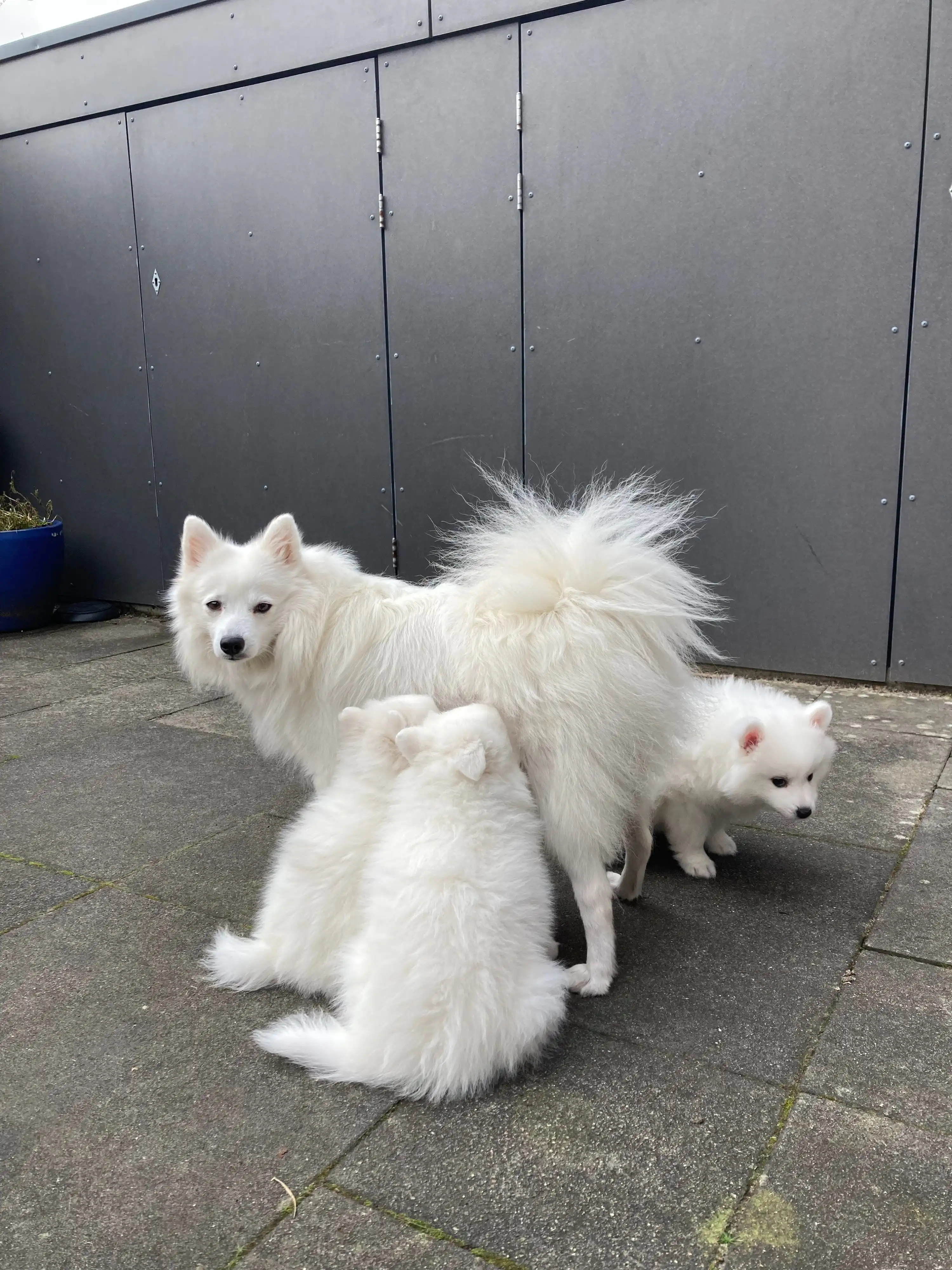 image-35