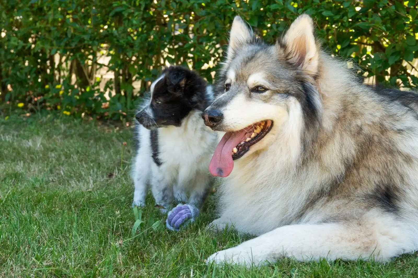 image-11