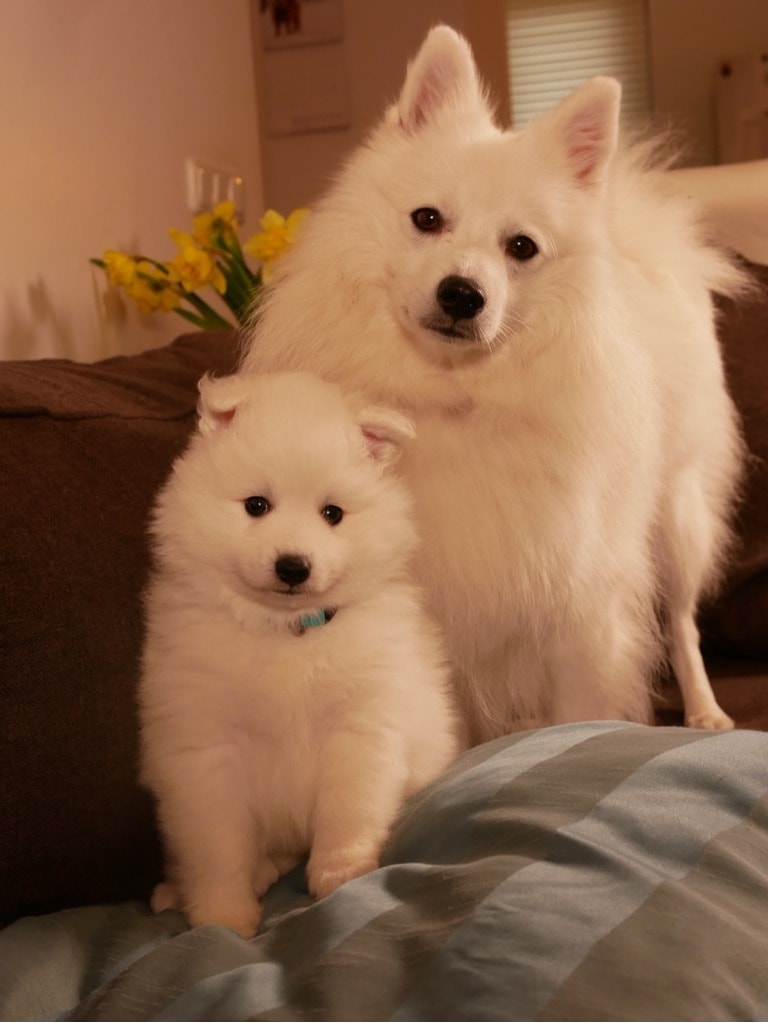 image-27