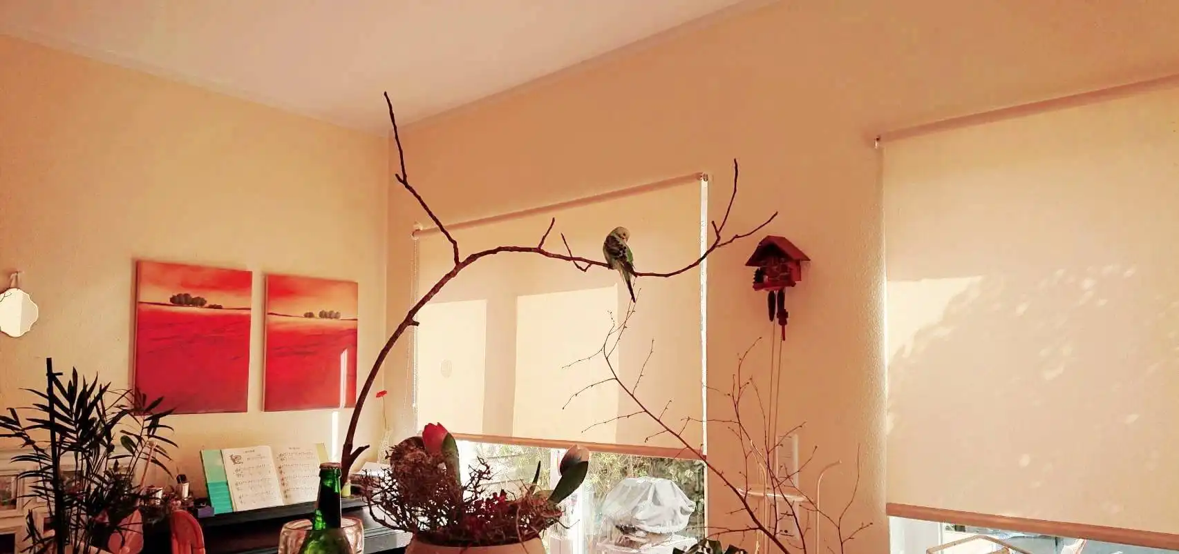 image-19