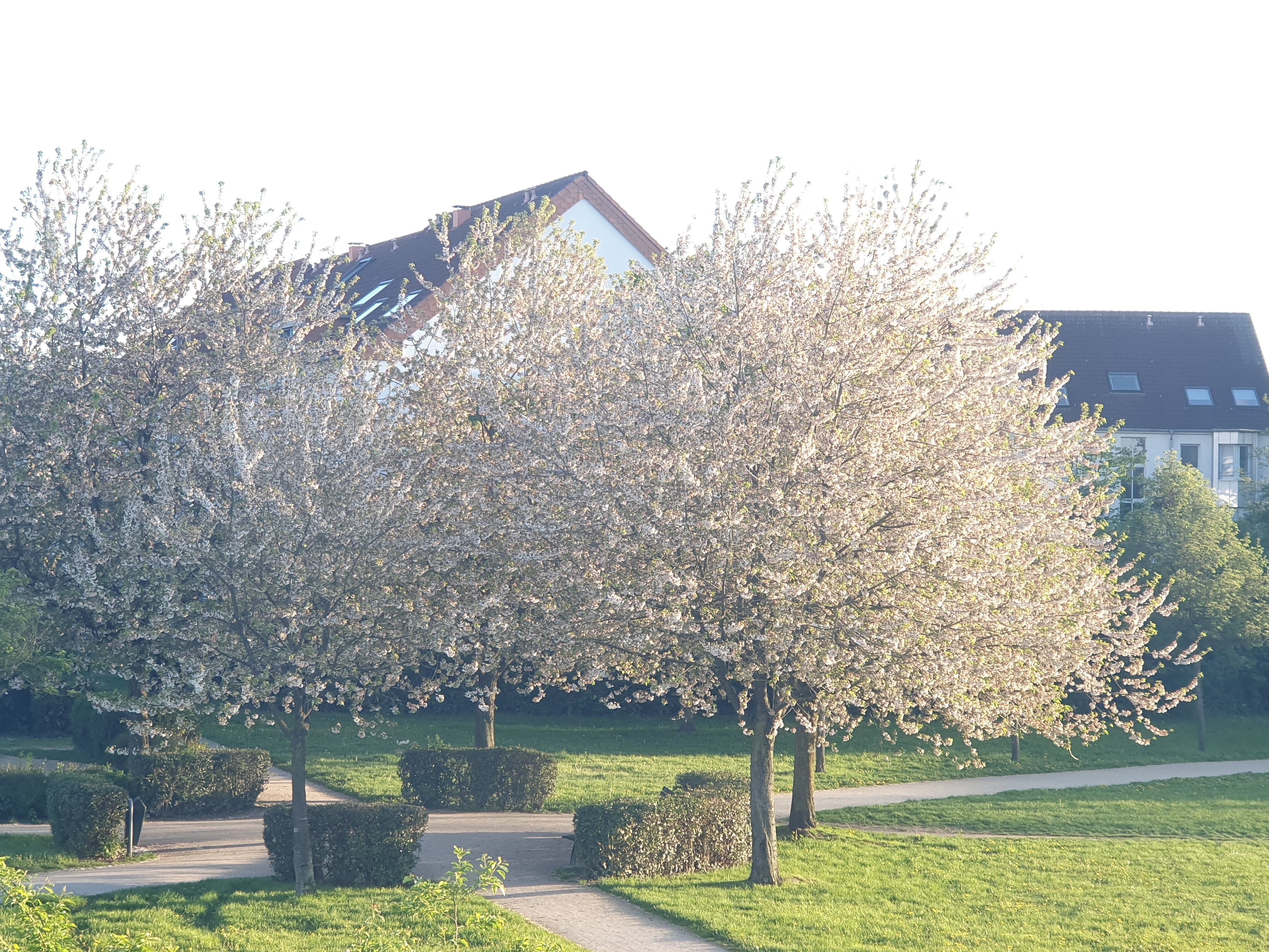 image-21