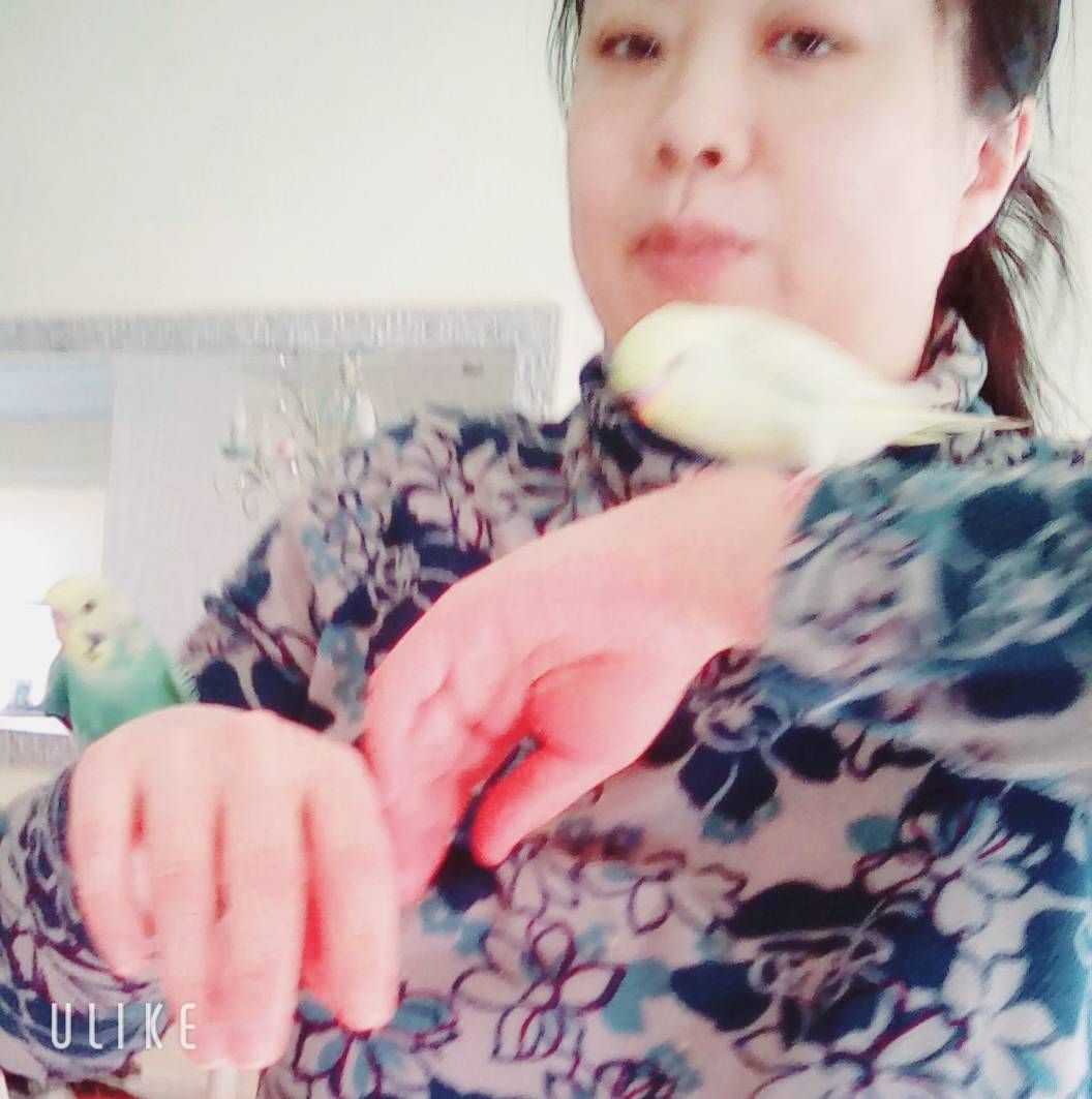 image-5