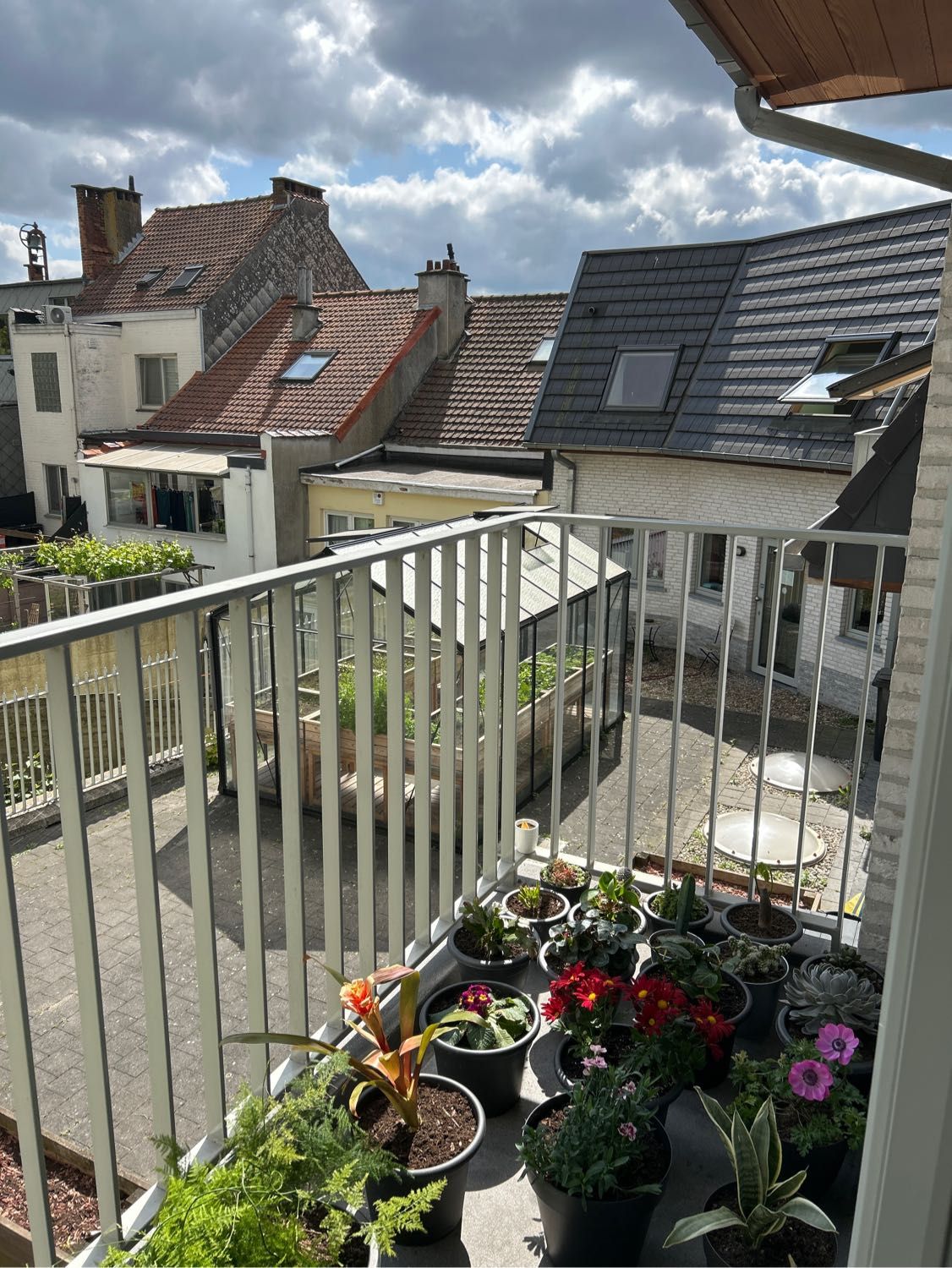 image-8