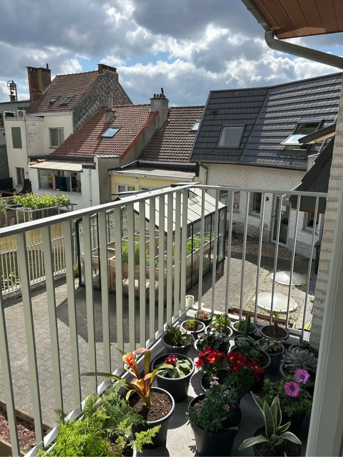 image-8