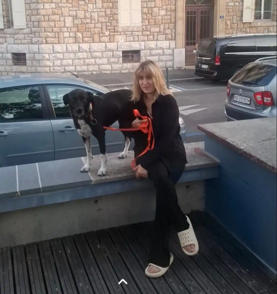 image-6