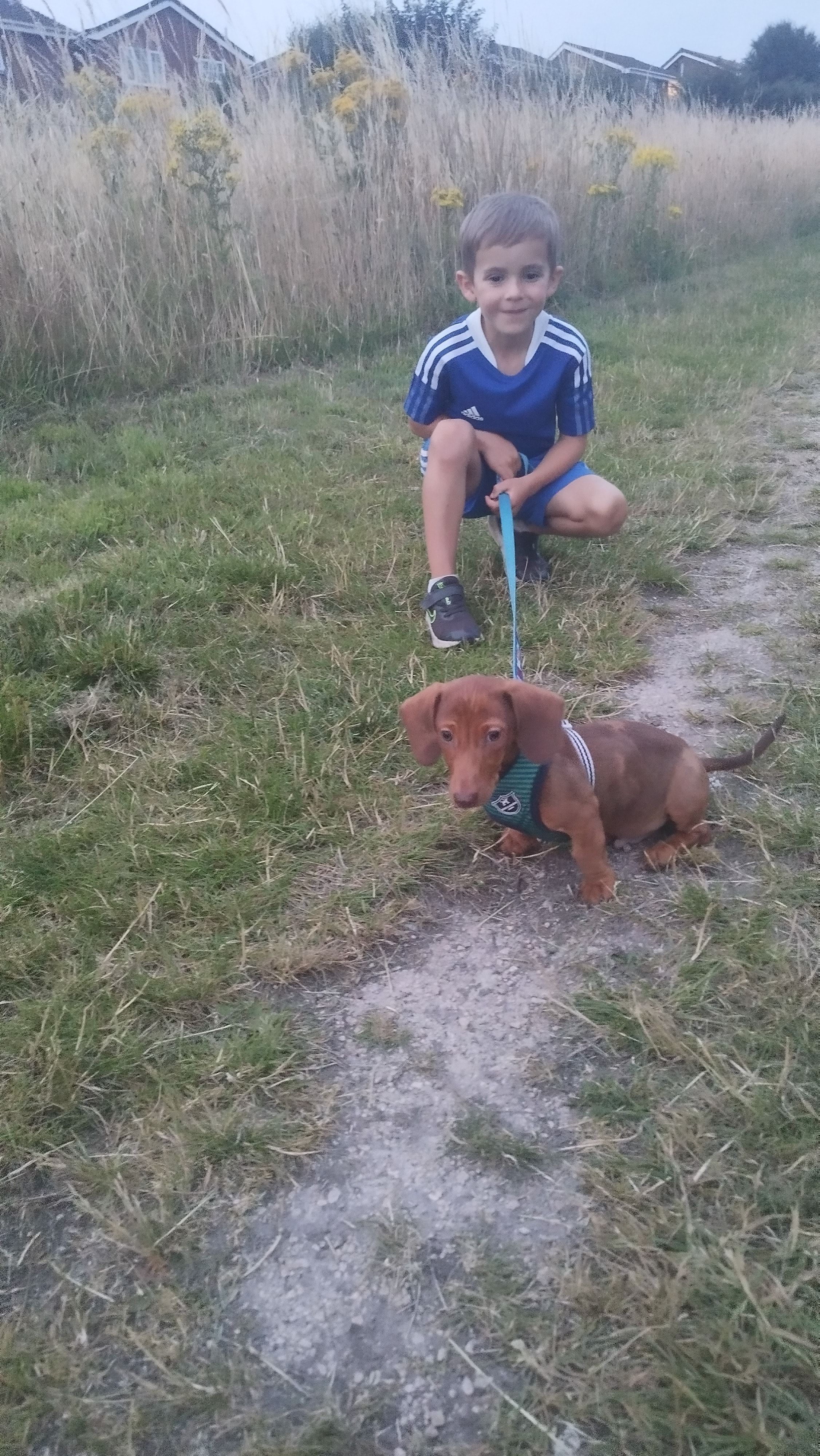 image-12