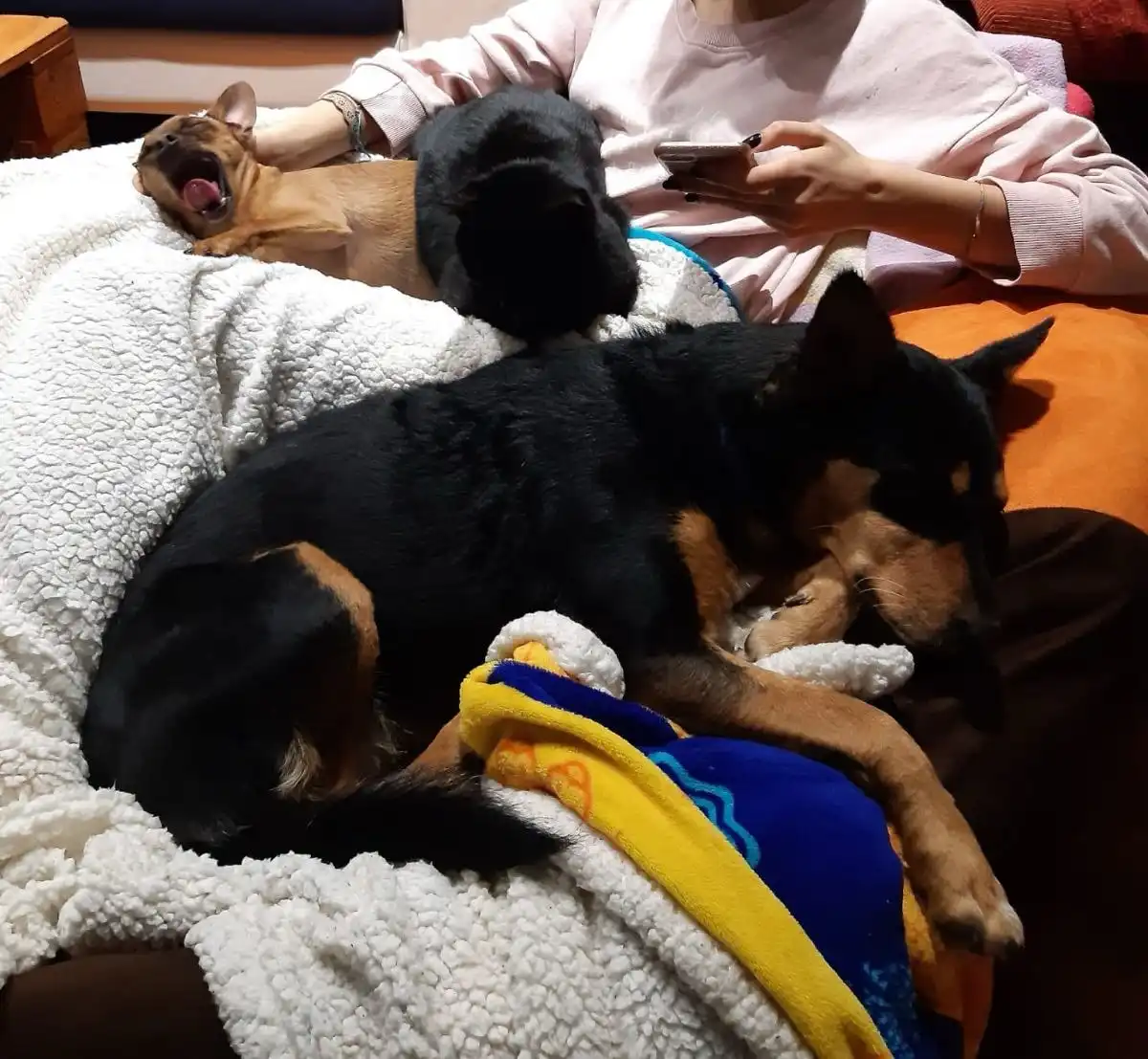image-7