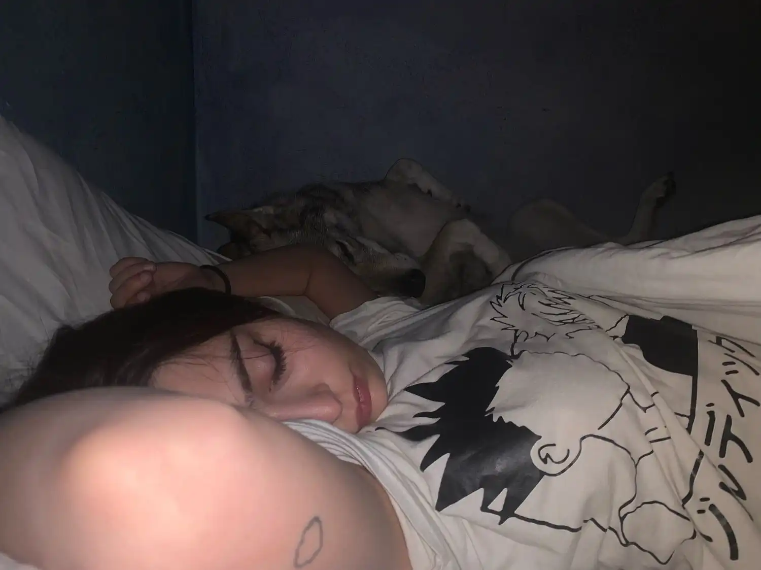 image-7
