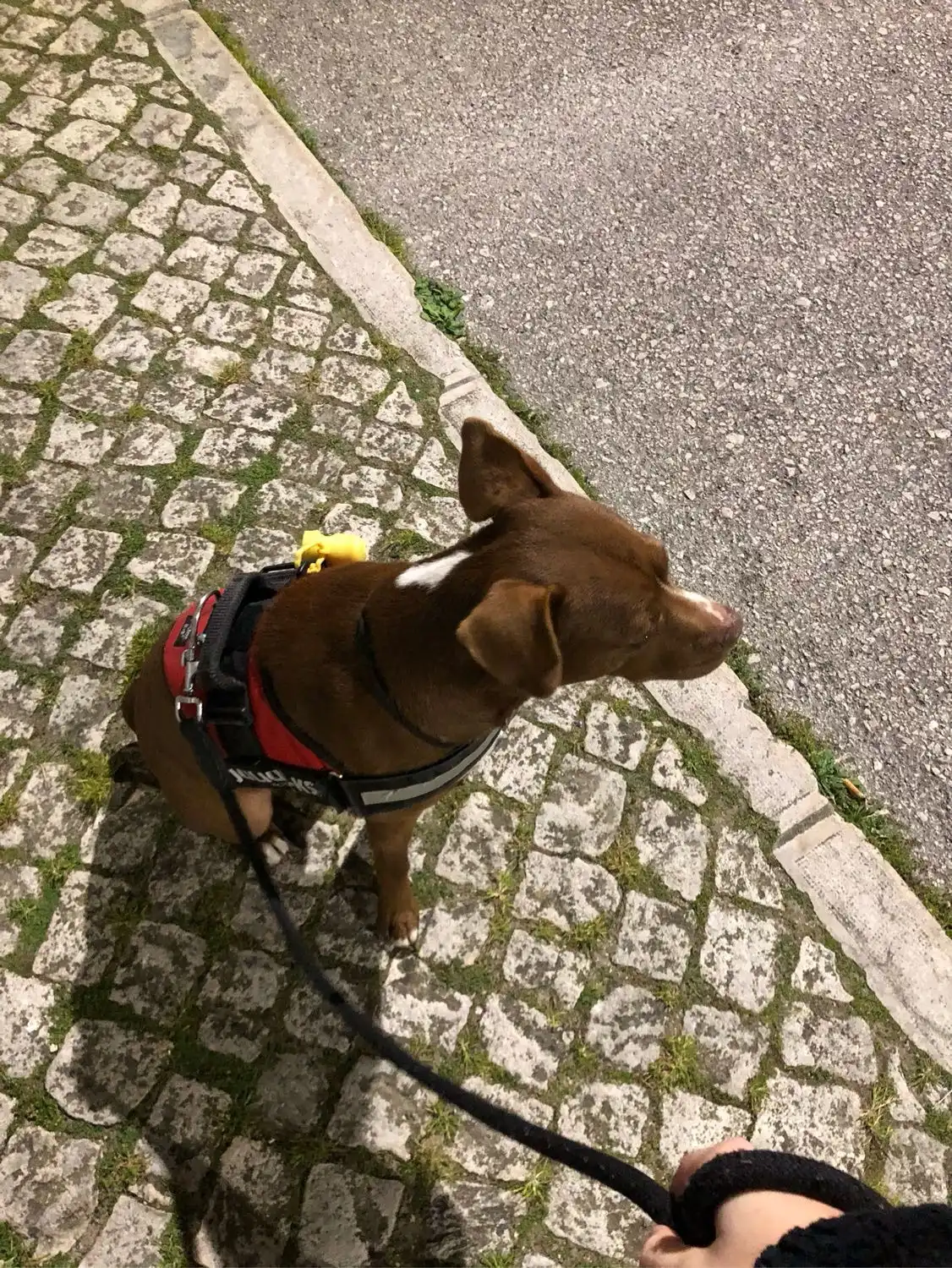 image-17