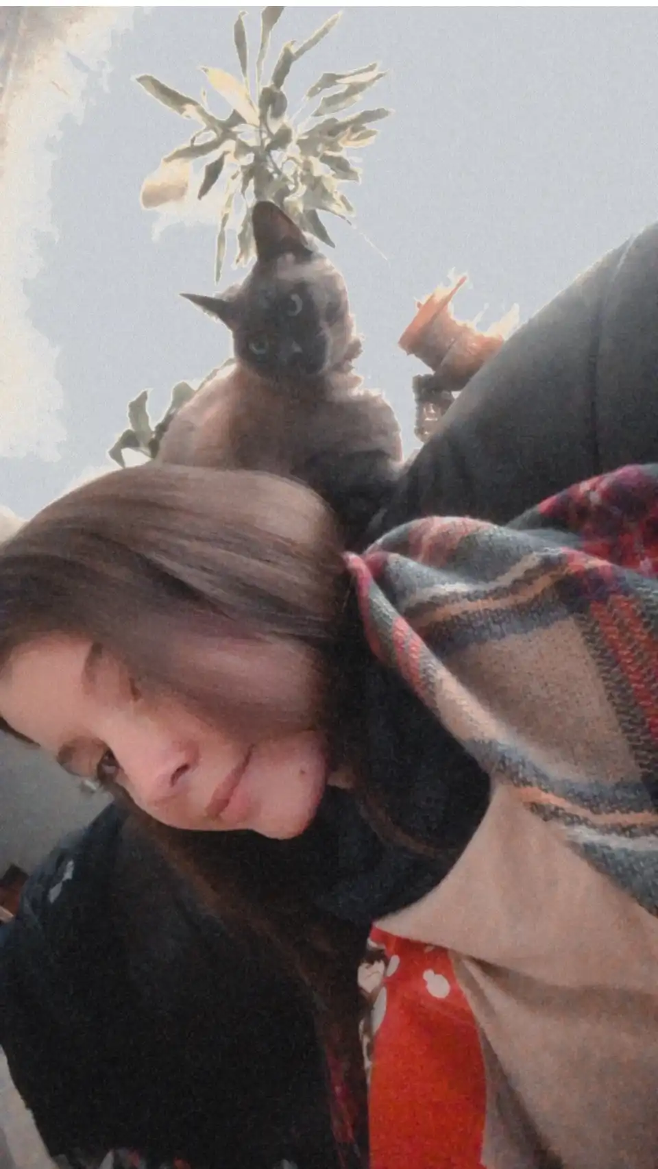 image-7