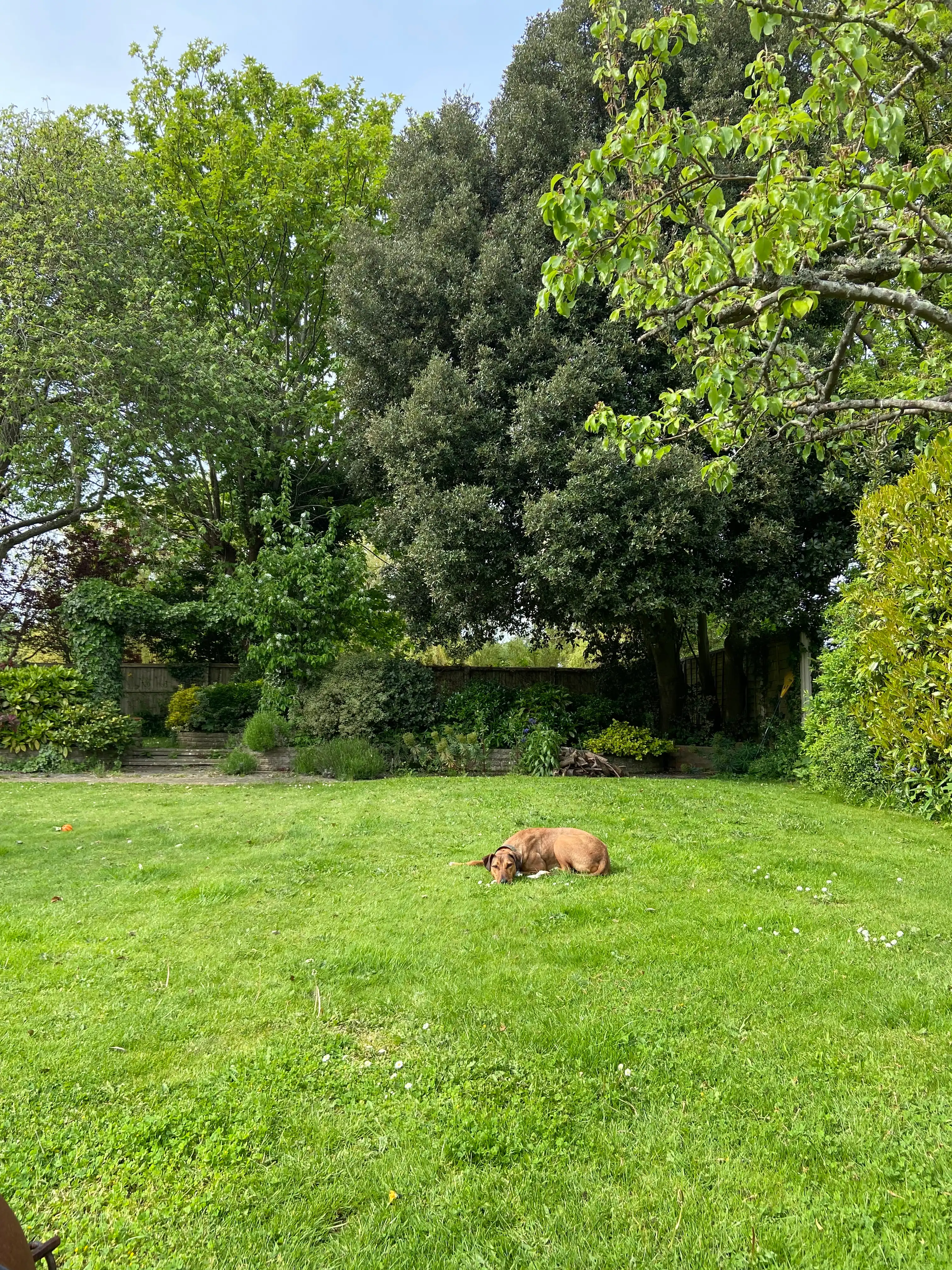 image-11