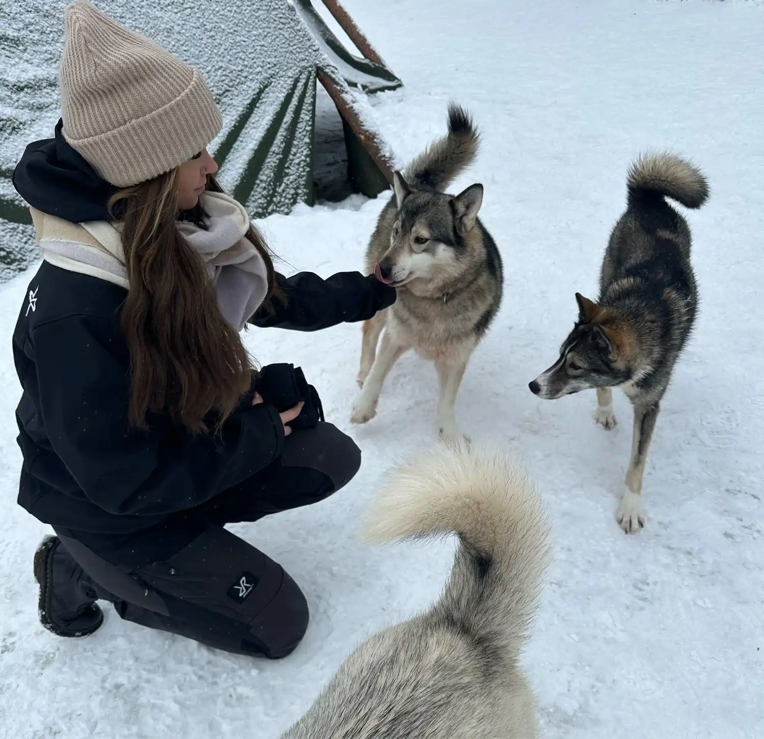 image-6