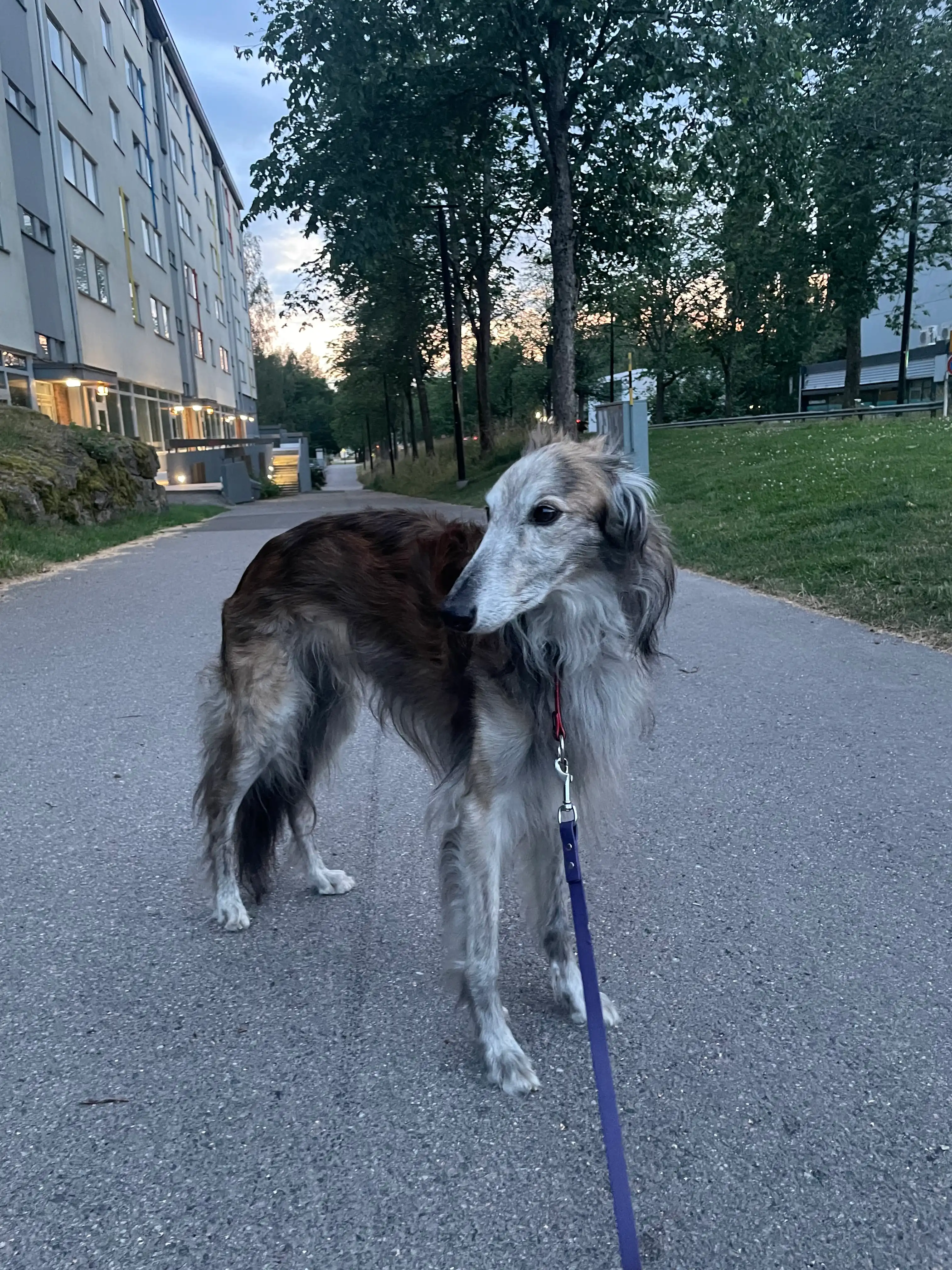image-13